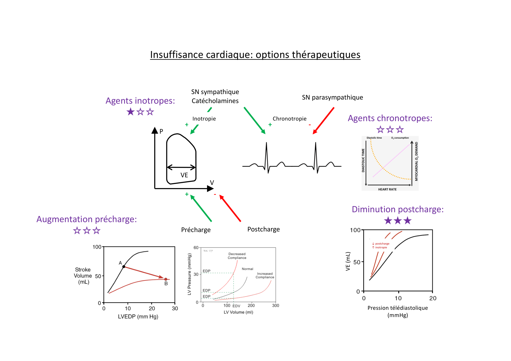 Options thérapeutiques cardiovasculaires page 1