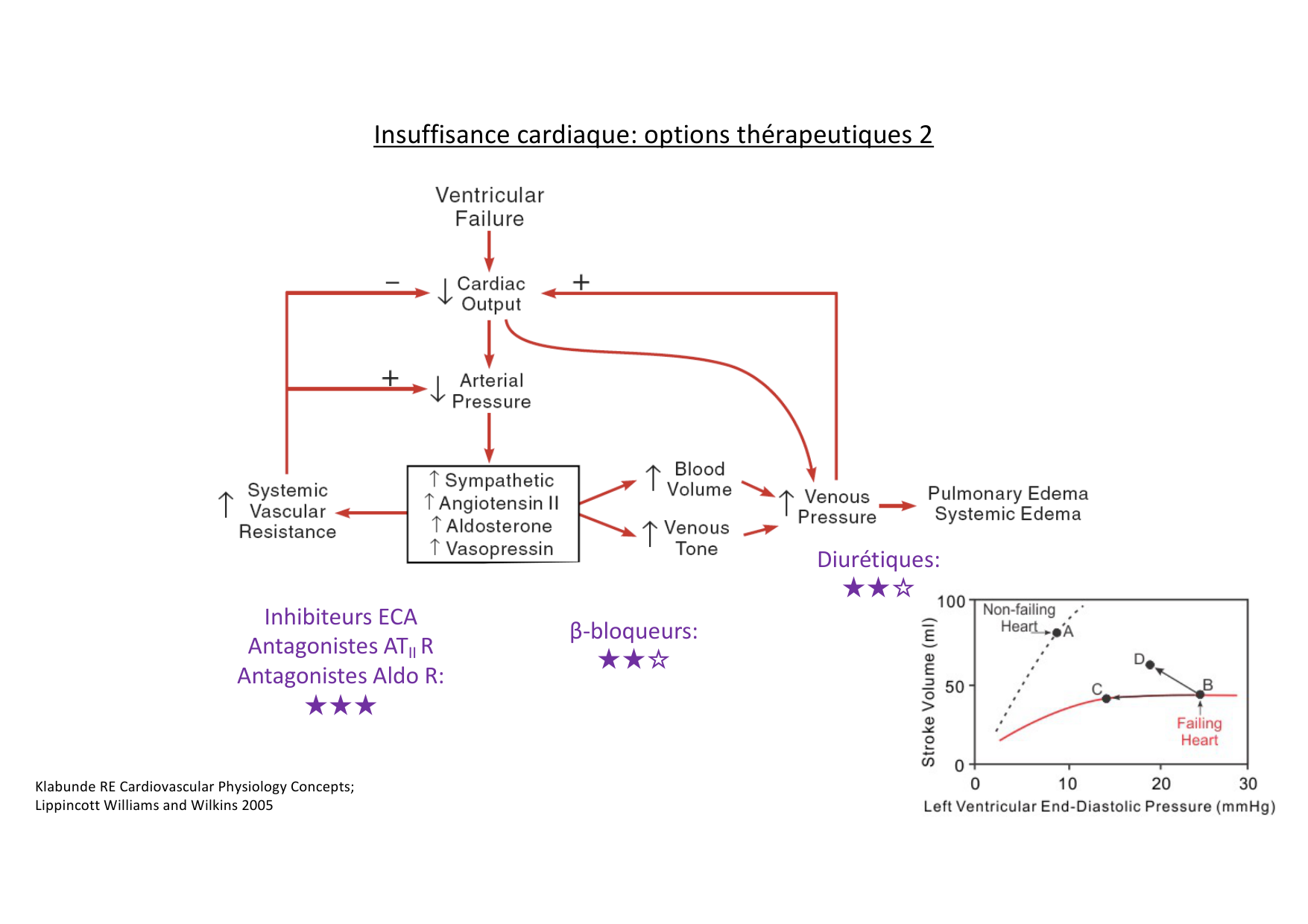 Options thérapeutiques cardiovasculaires page 2