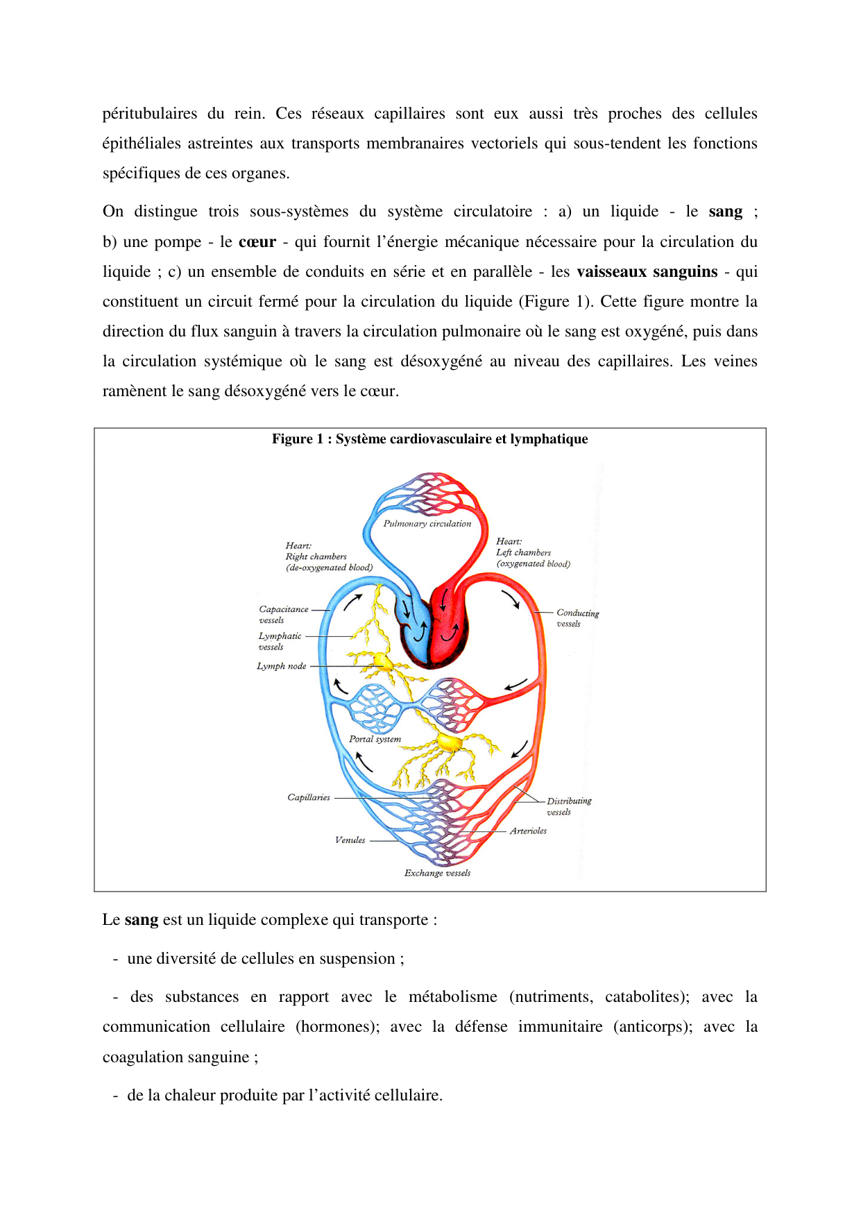 Circulatoire — polycopié 2020 page 4