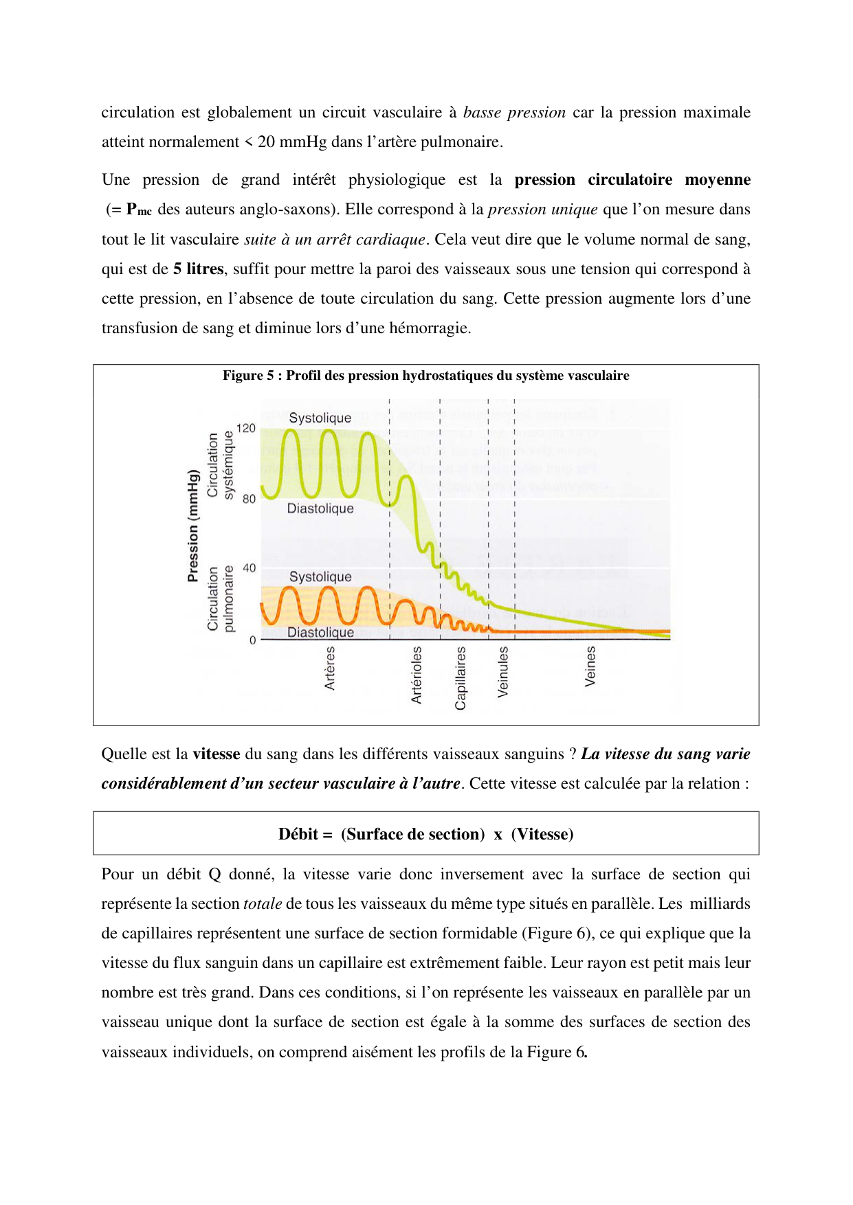 Circulatoire — polycopié 2020 page 9
