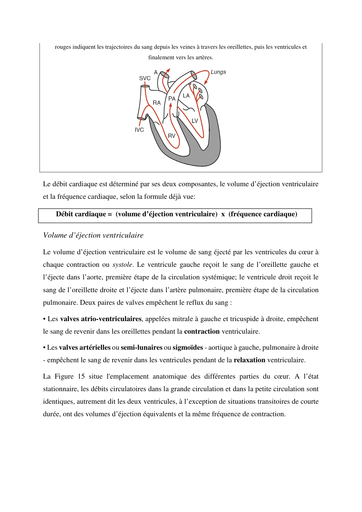 Circulatoire — polycopié 2020 page 20