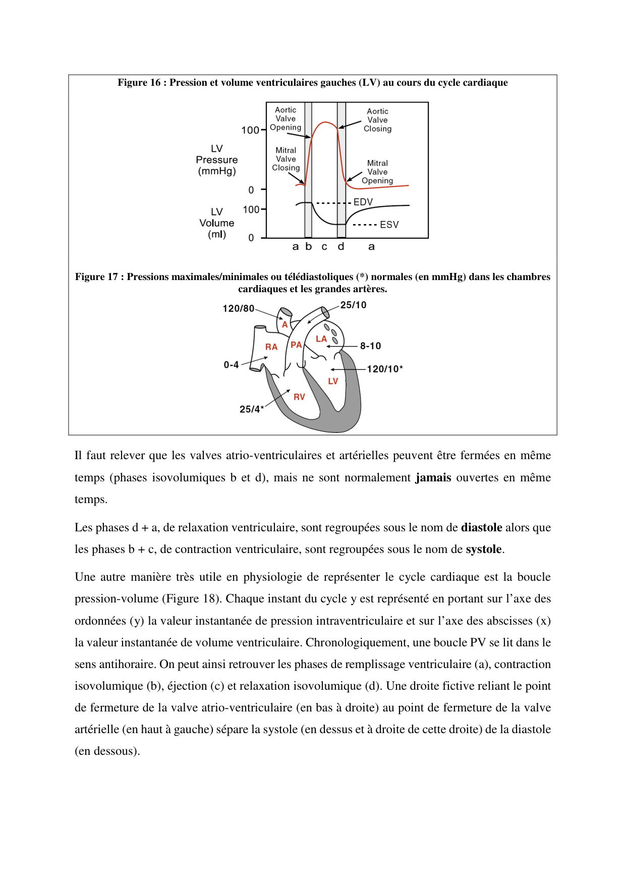 Circulatoire — polycopié 2020 page 23