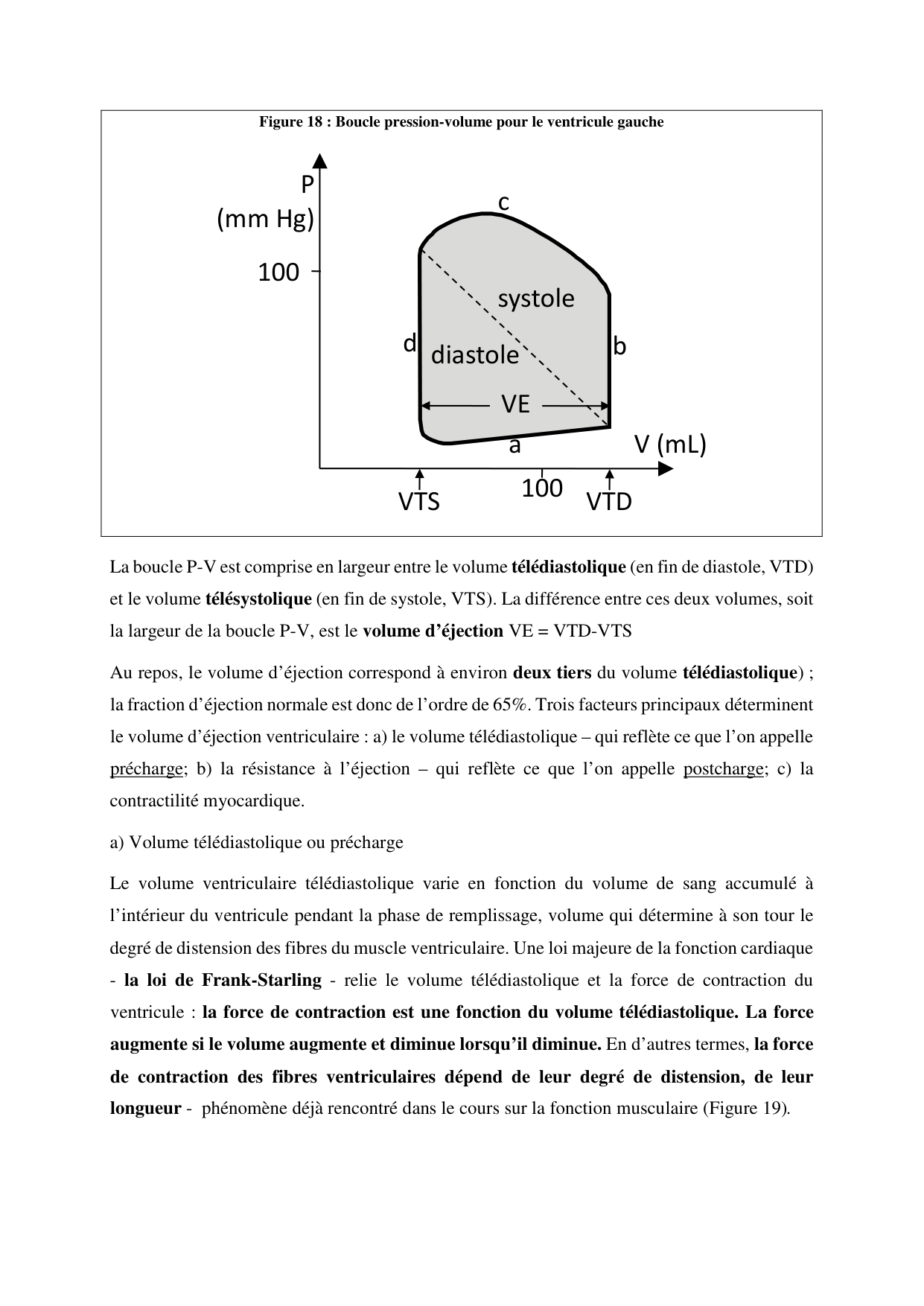 Circulatoire — polycopié 2020 page 24
