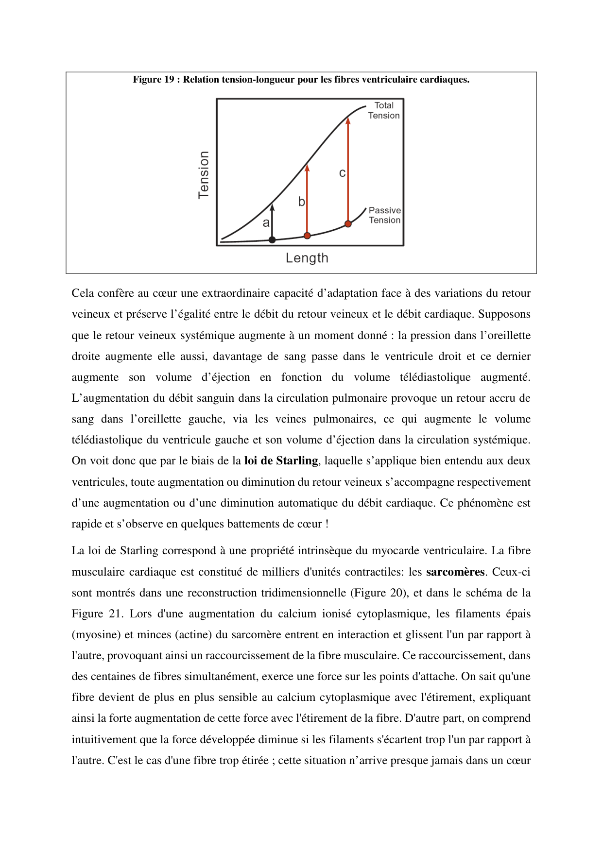 Circulatoire — polycopié 2020 page 25