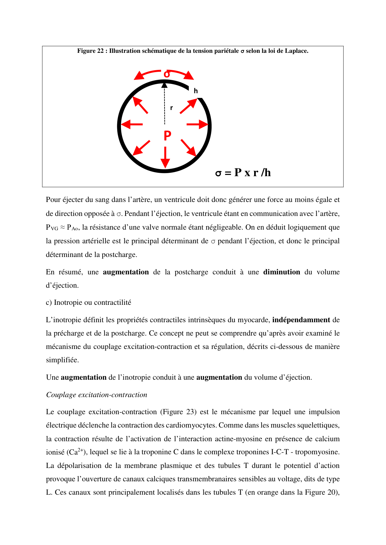 Circulatoire — polycopié 2020 page 28