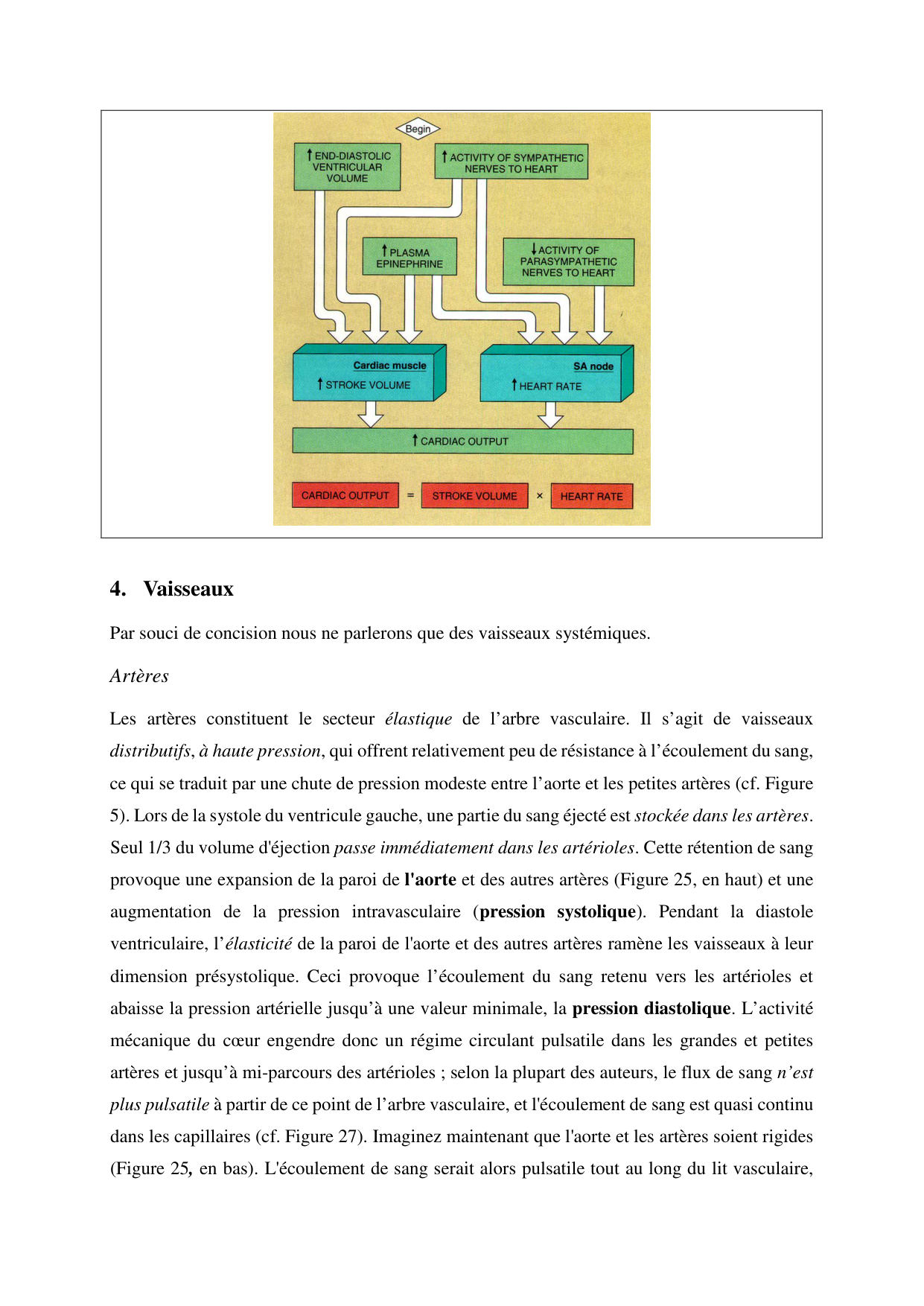 Circulatoire — polycopié 2020 page 32
