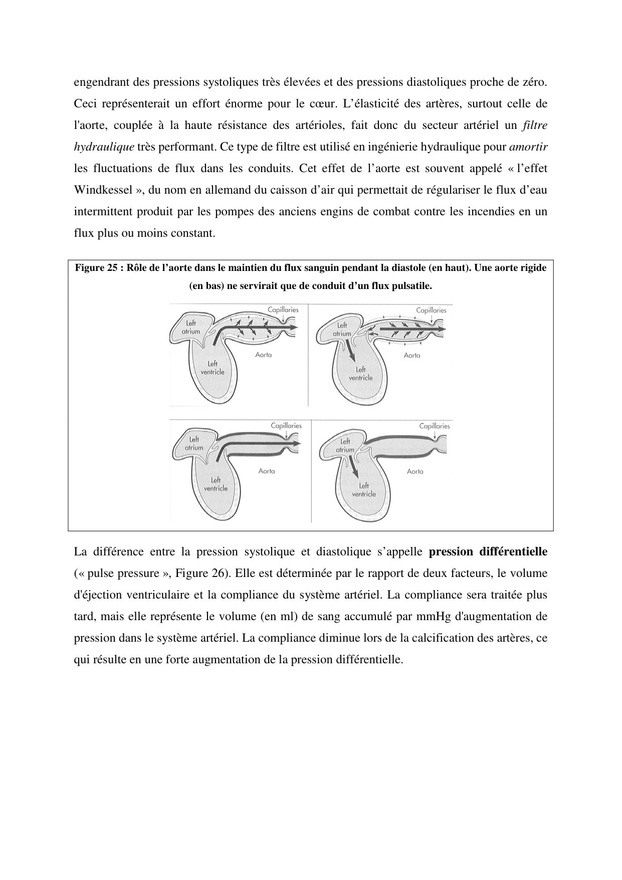 Circulatoire — polycopié 2020 page 33
