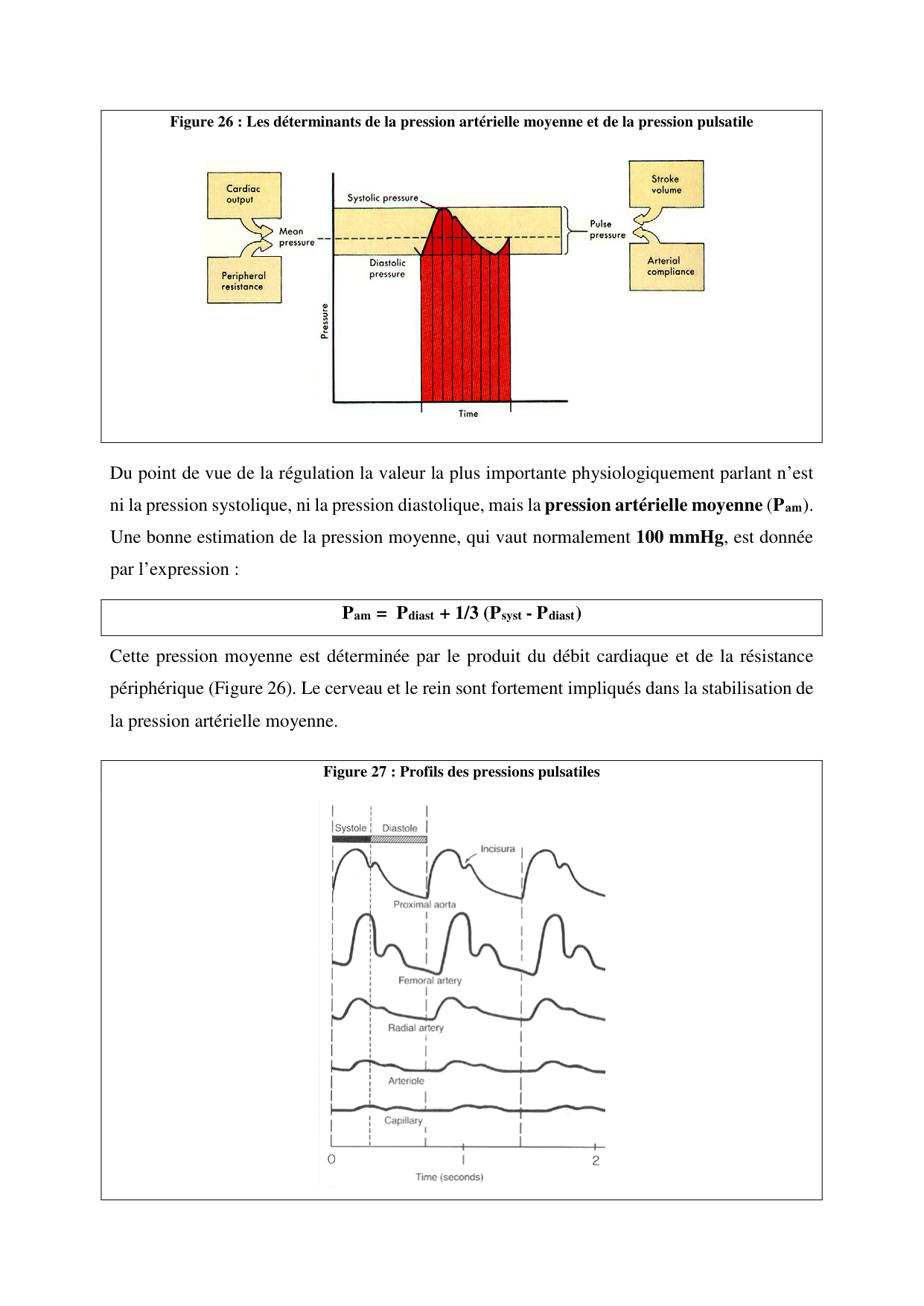 Circulatoire — polycopié 2020 page 34