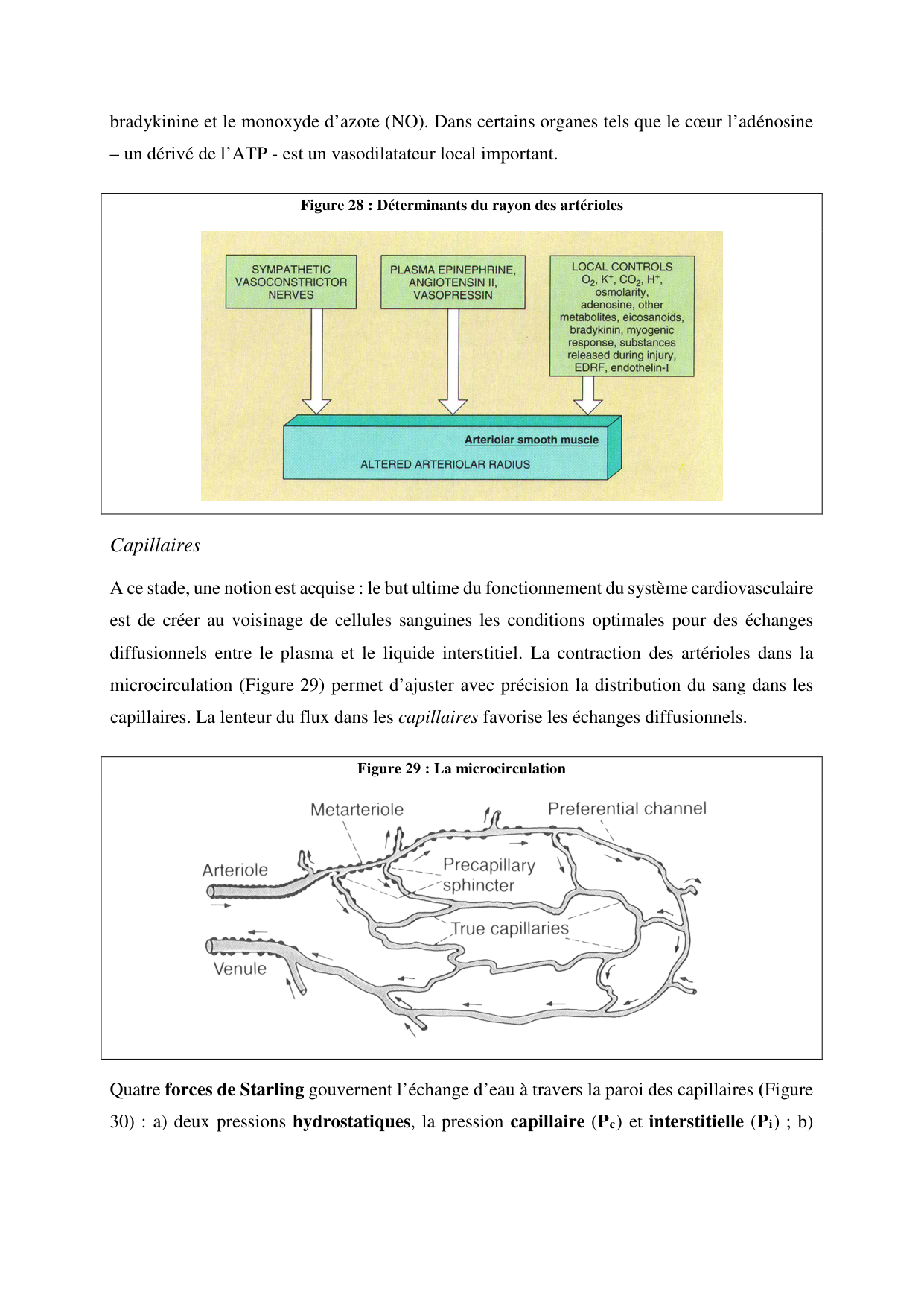 Circulatoire — polycopié 2020 page 36