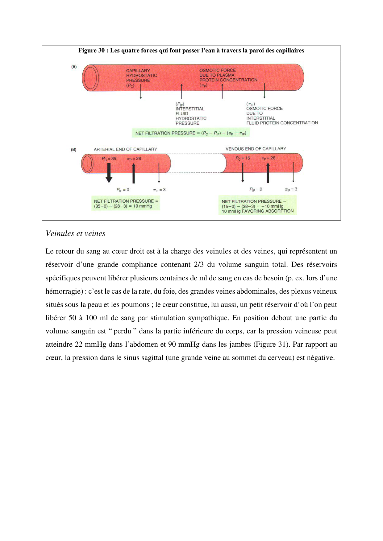 Circulatoire — polycopié 2020 page 39