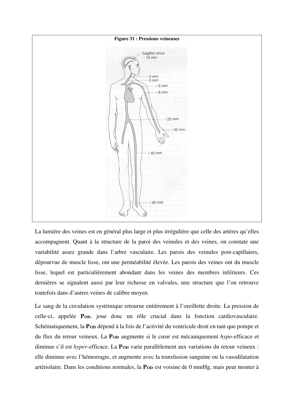 Circulatoire — polycopié 2020 page 40