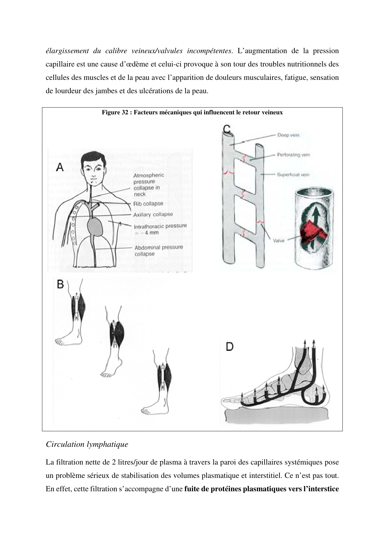 Circulatoire — polycopié 2020 page 43
