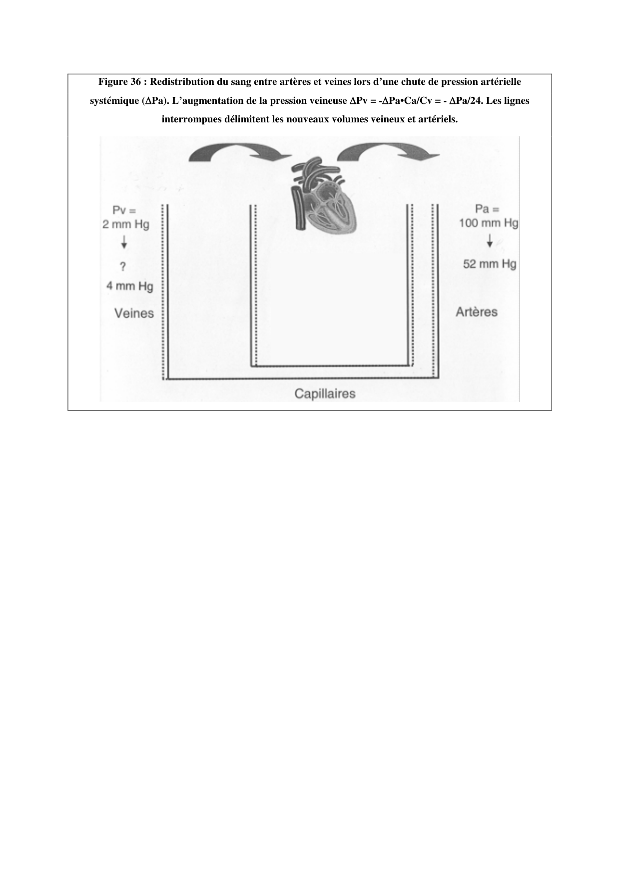 Circulatoire — polycopié 2020 page 53