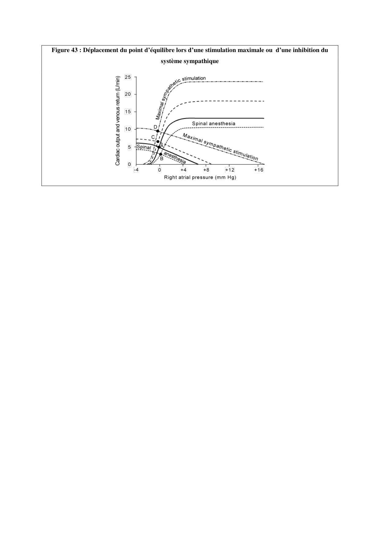 Circulatoire — polycopié 2020 page 59