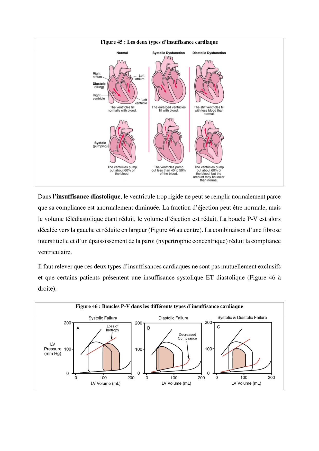 Circulatoire — polycopié 2020 page 66
