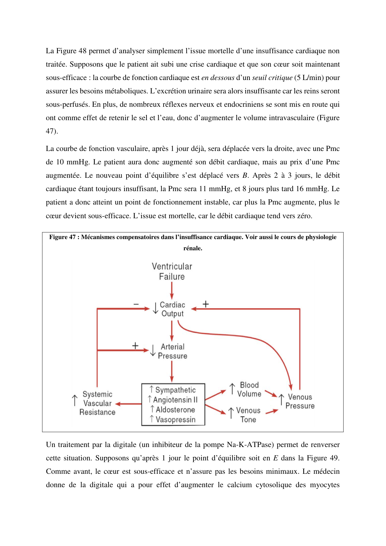 Circulatoire — polycopié 2020 page 67