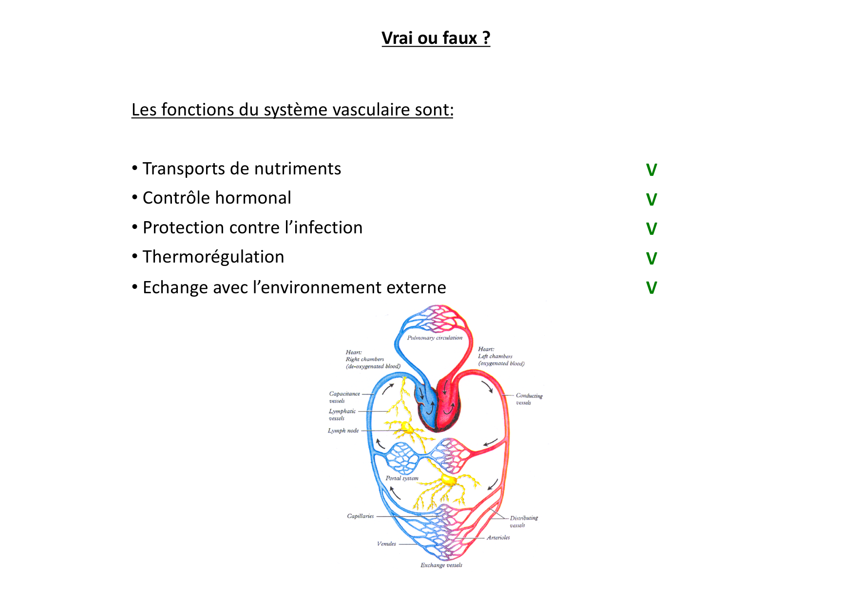 Cardiovasculaire — répétitoire page 1