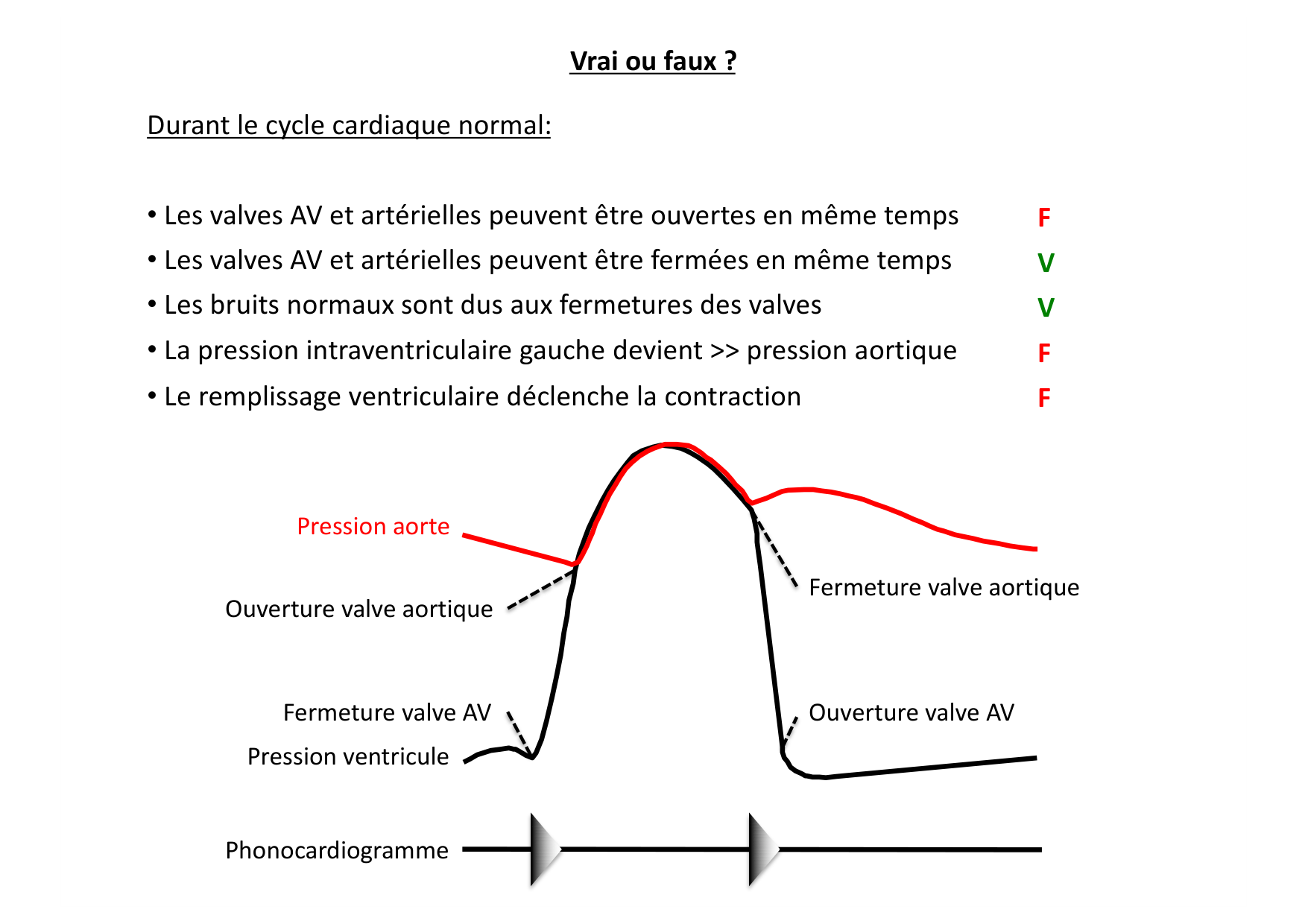 Cardiovasculaire — répétitoire page 2