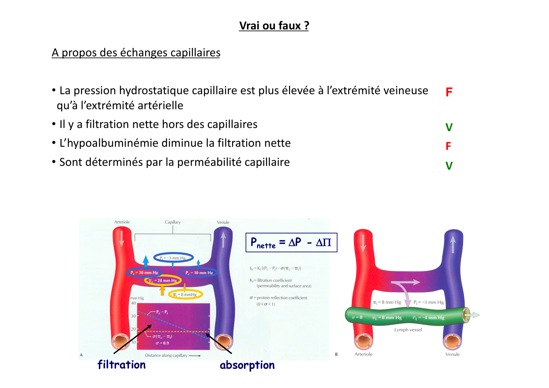 Cardiovasculaire — répétitoire page 3