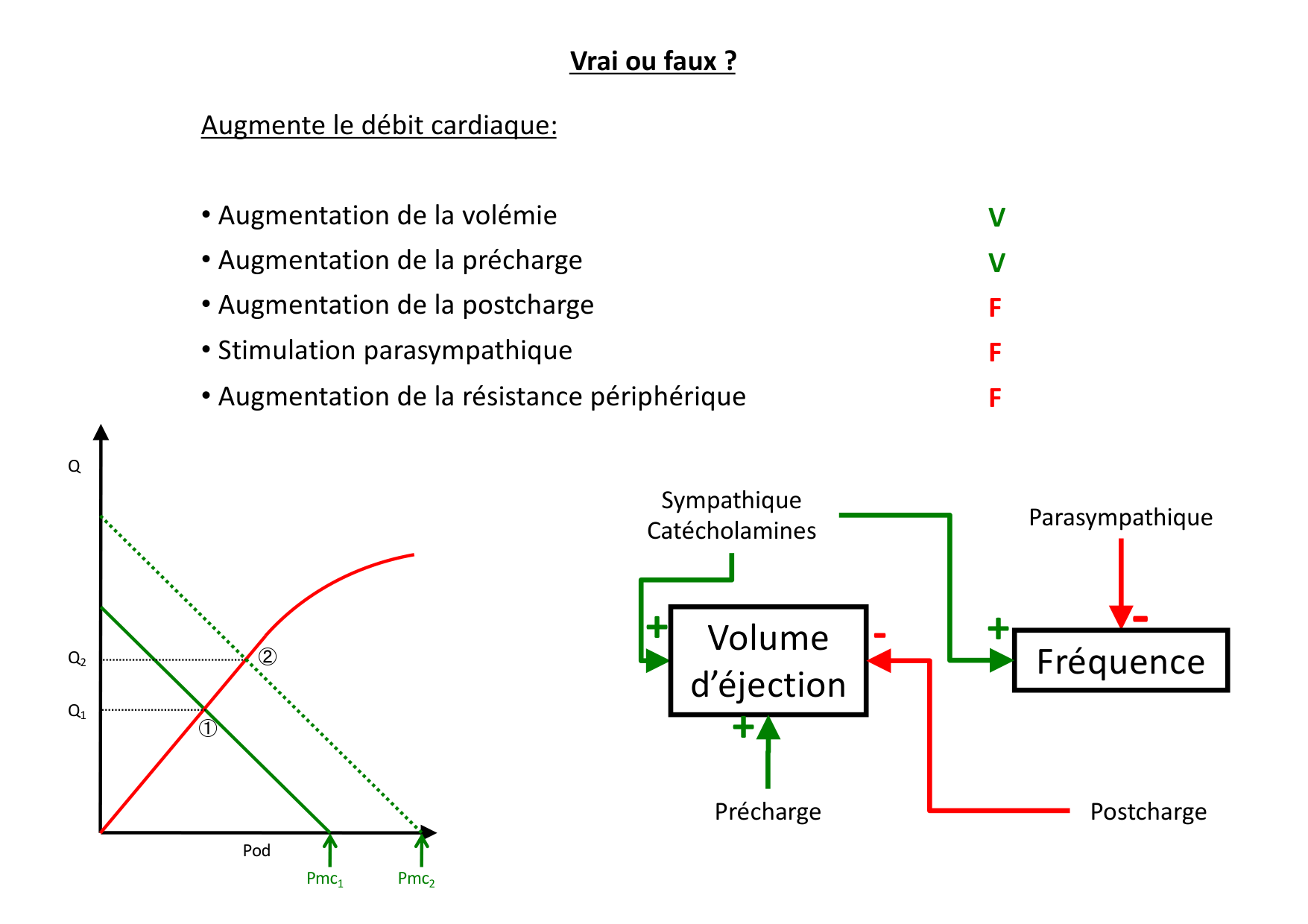 Cardiovasculaire — répétitoire page 4