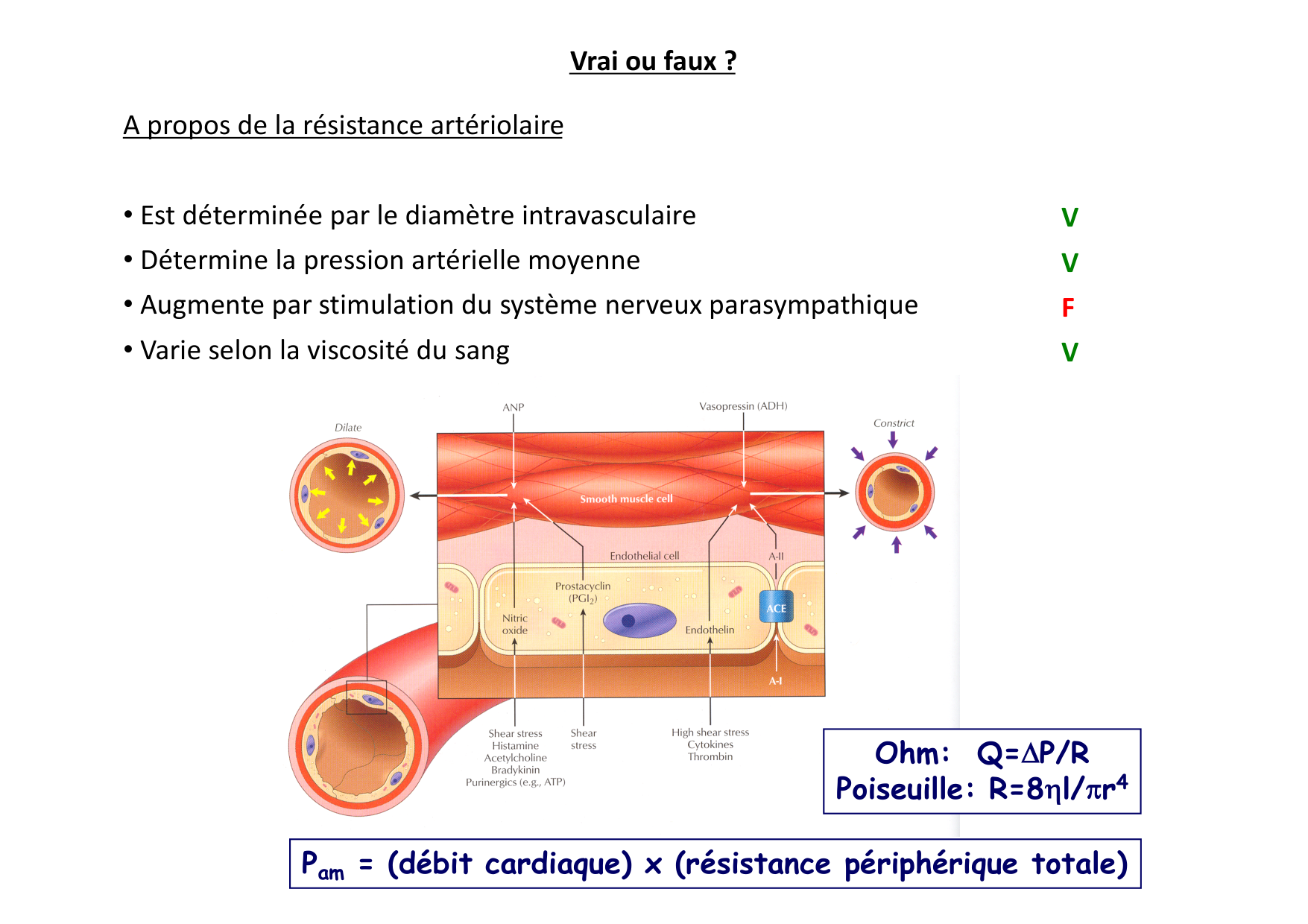 Cardiovasculaire — répétitoire page 5