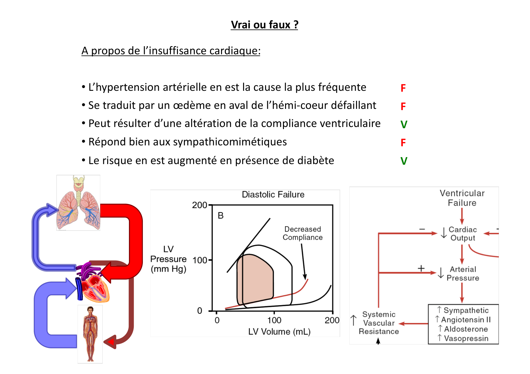 Cardiovasculaire — répétitoire page 6
