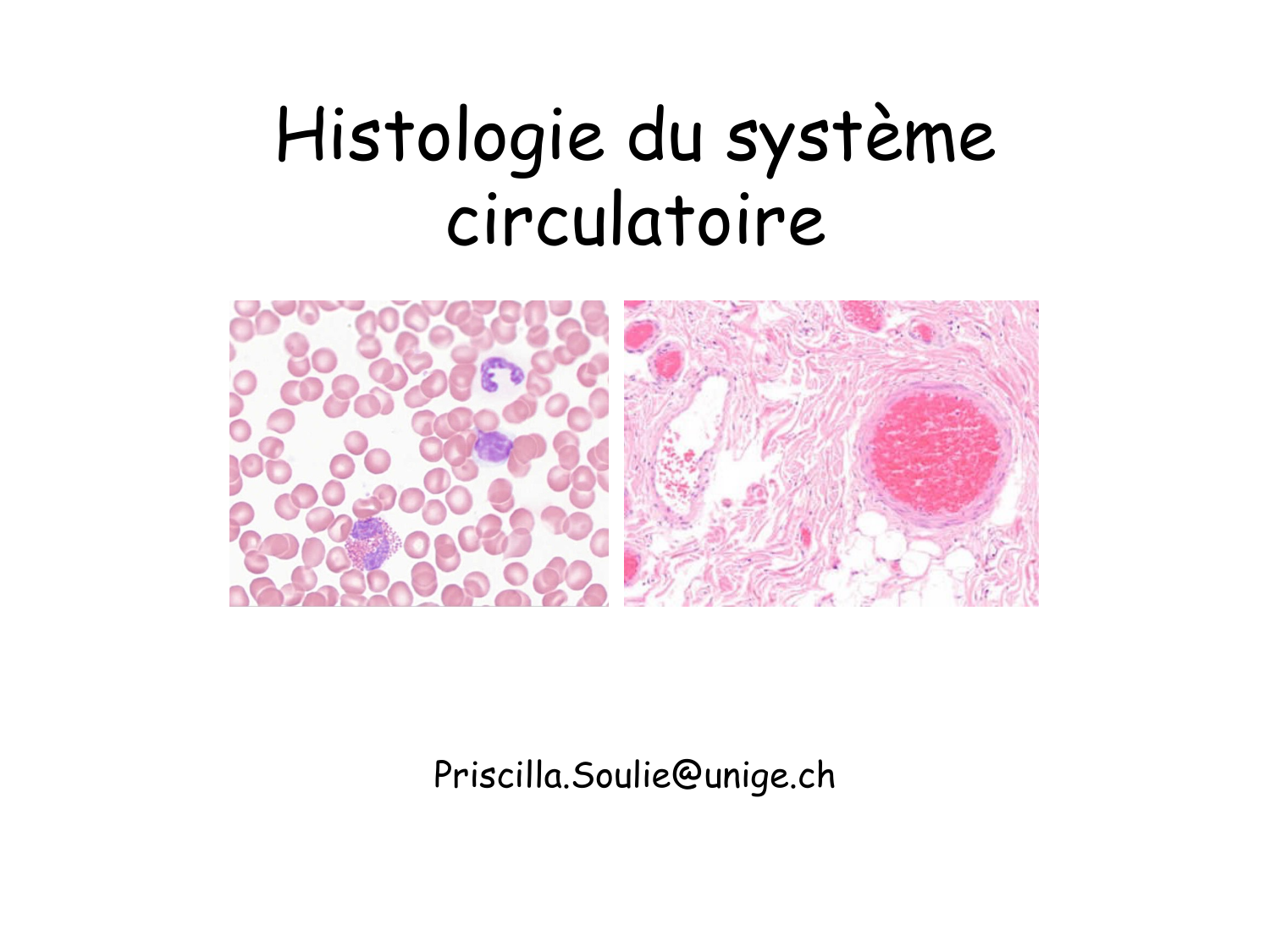 Sang et circulation — introduction page 1