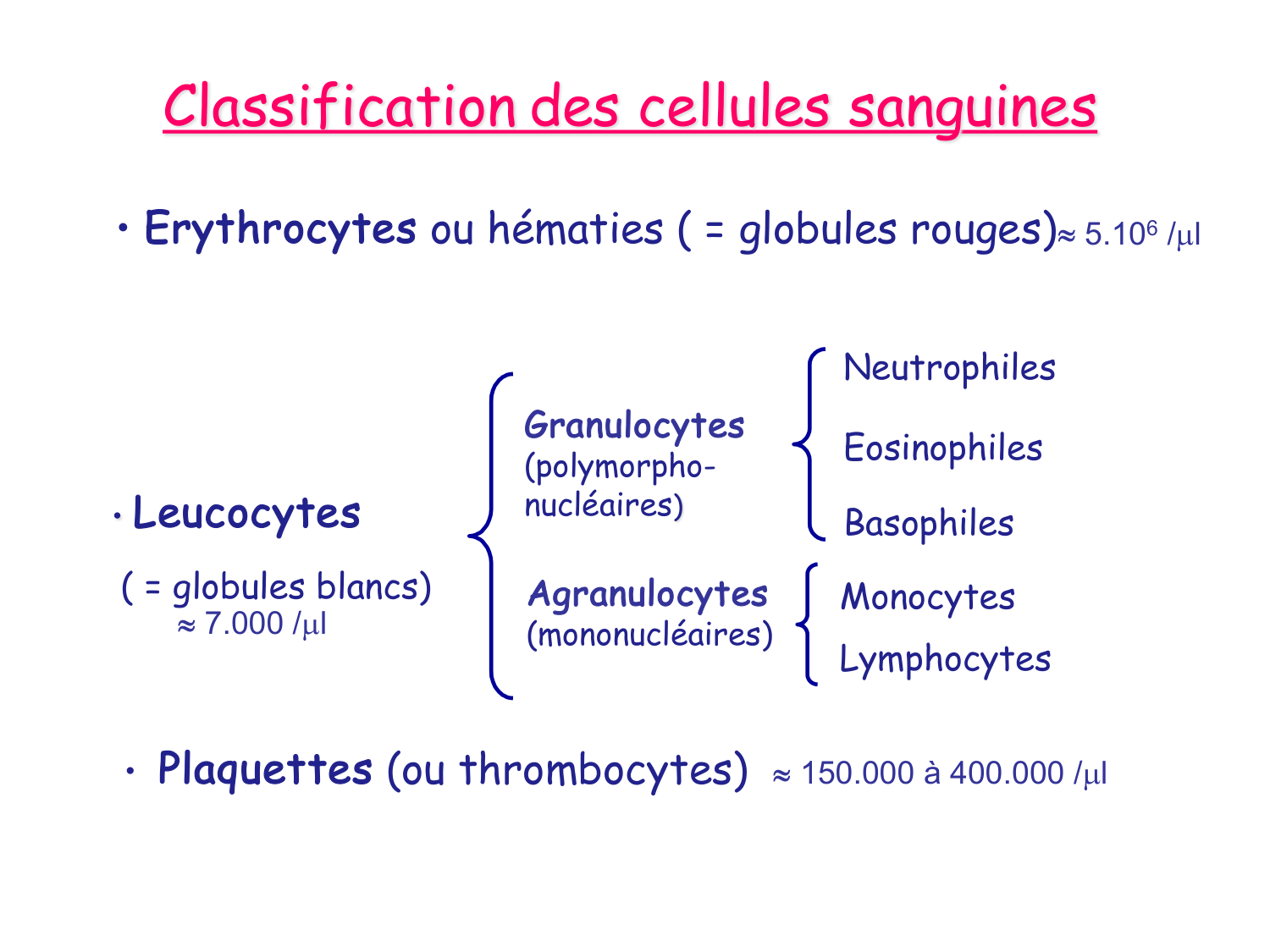 Sang et circulation — introduction page 8