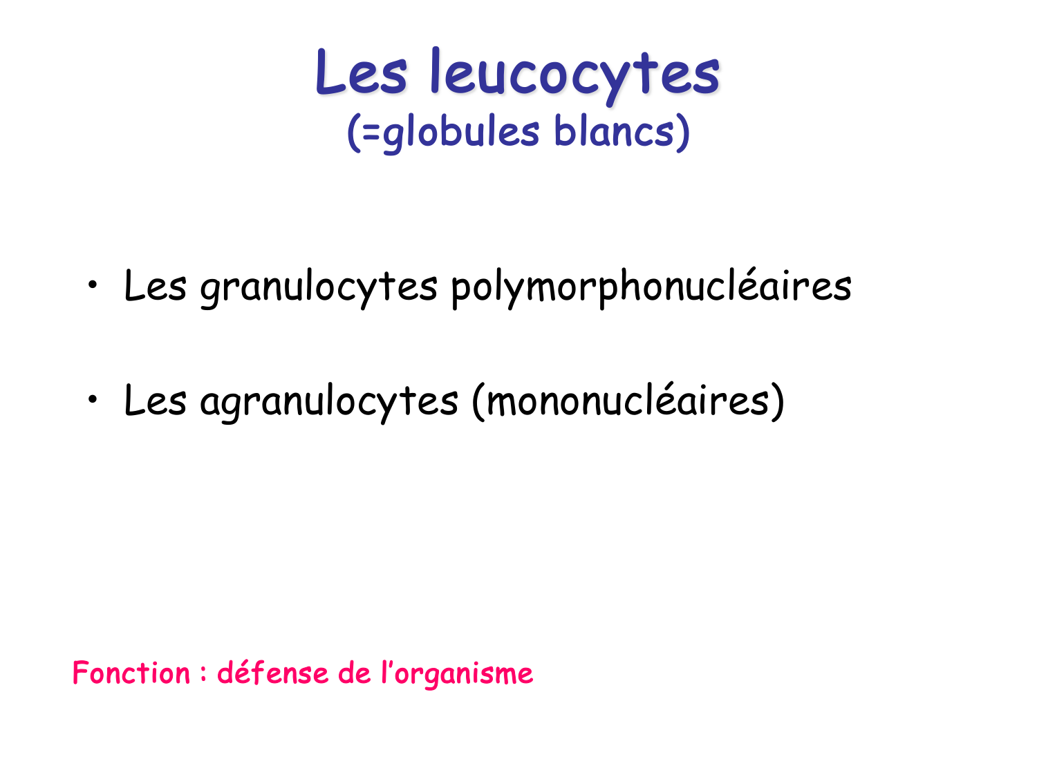 Sang et circulation — introduction page 19
