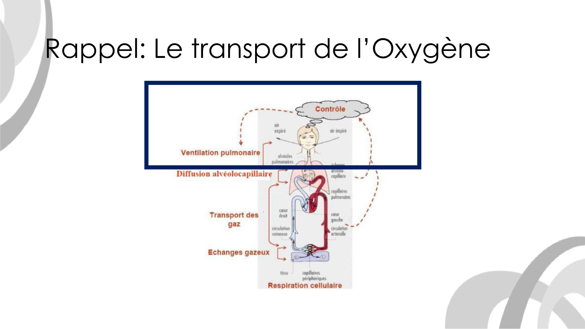 Contrôle ventilatoire page 3