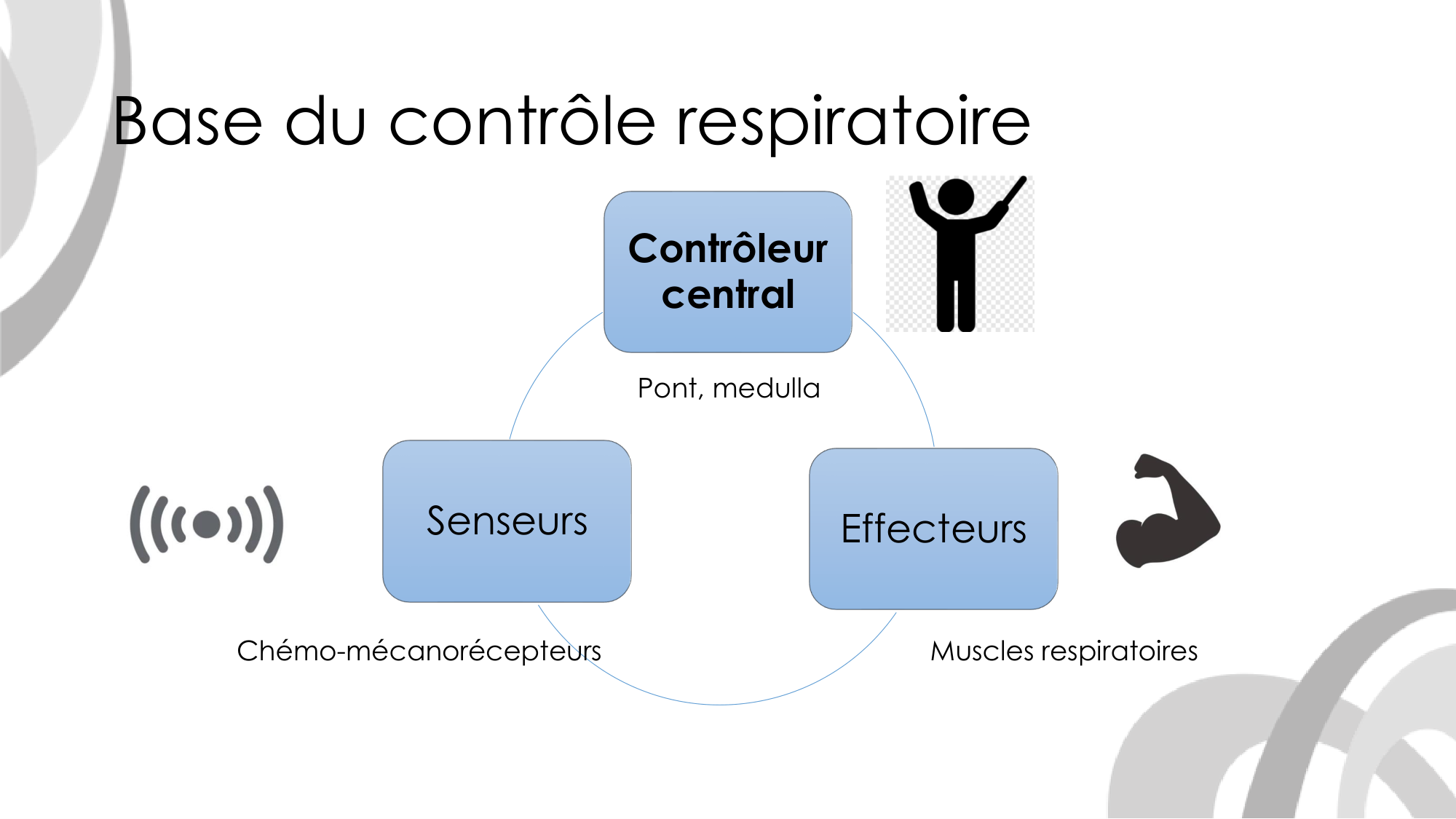 Contrôle ventilatoire page 7