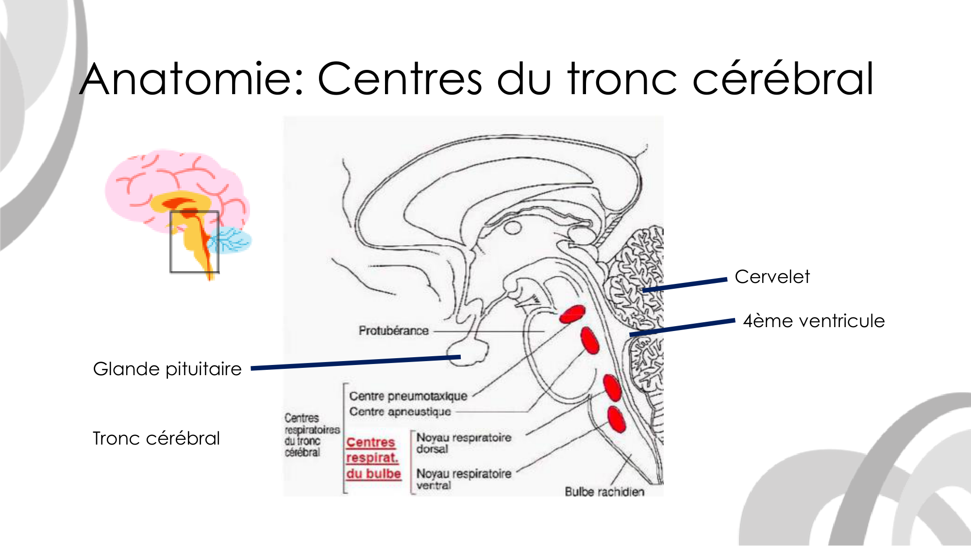 Contrôle ventilatoire page 8