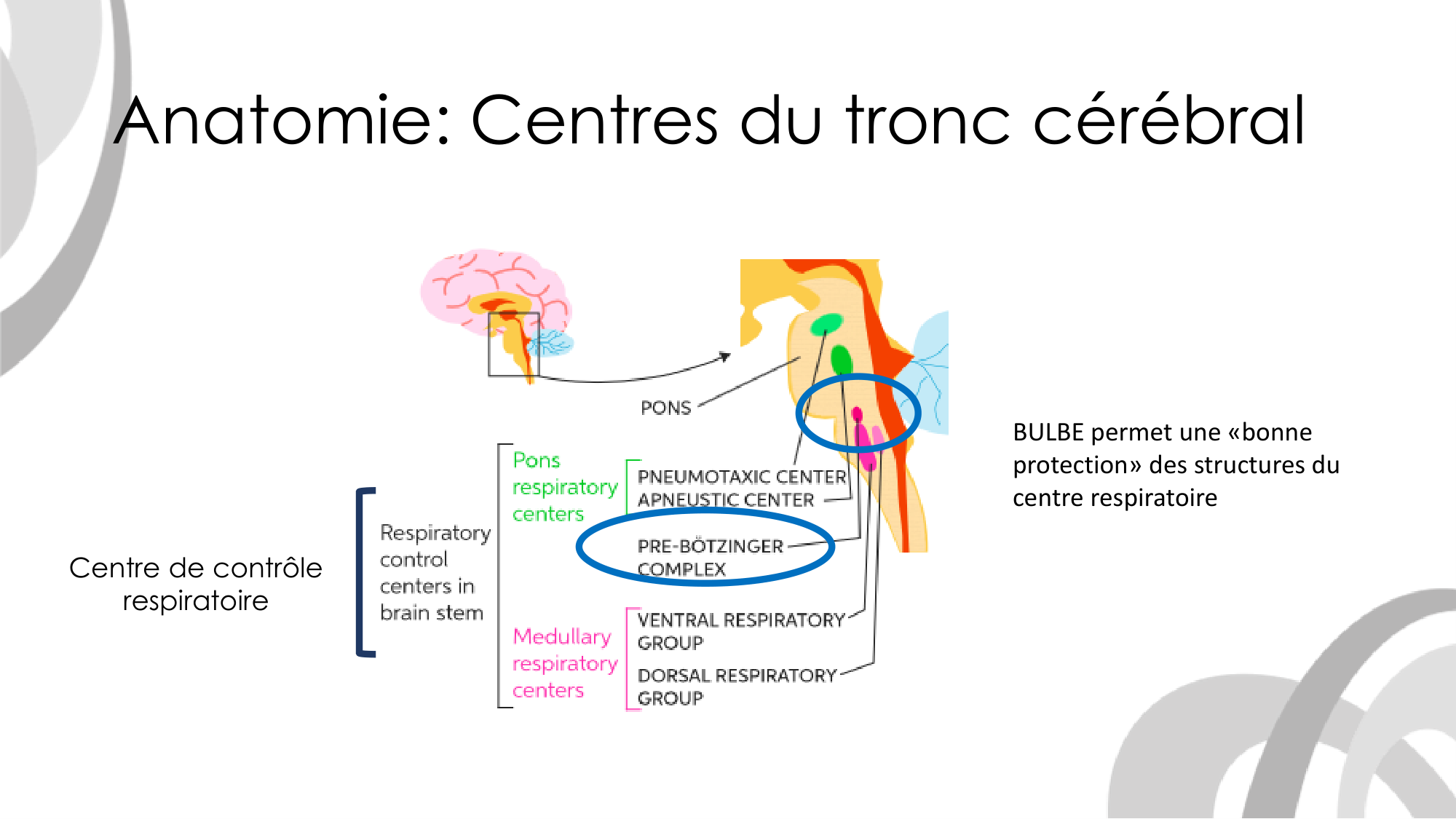 Contrôle ventilatoire page 9