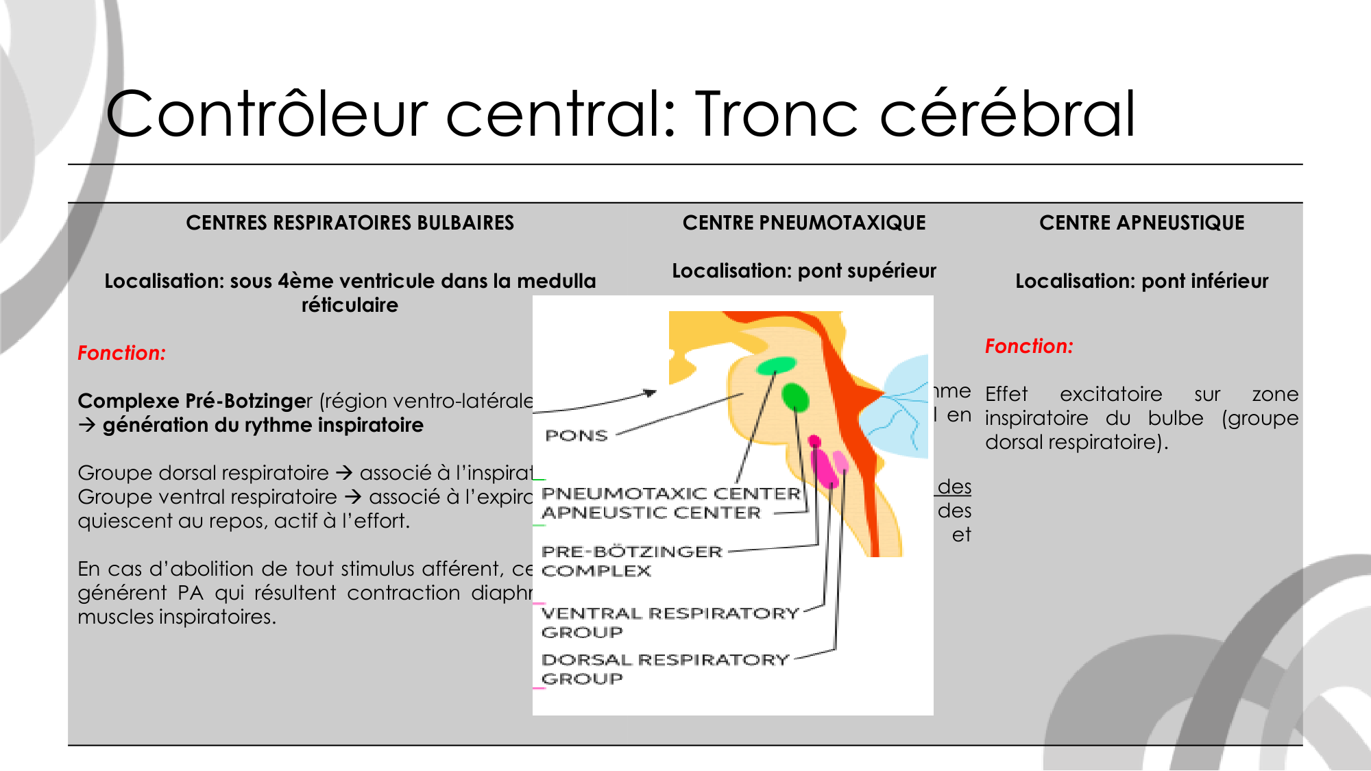 Contrôle ventilatoire page 12