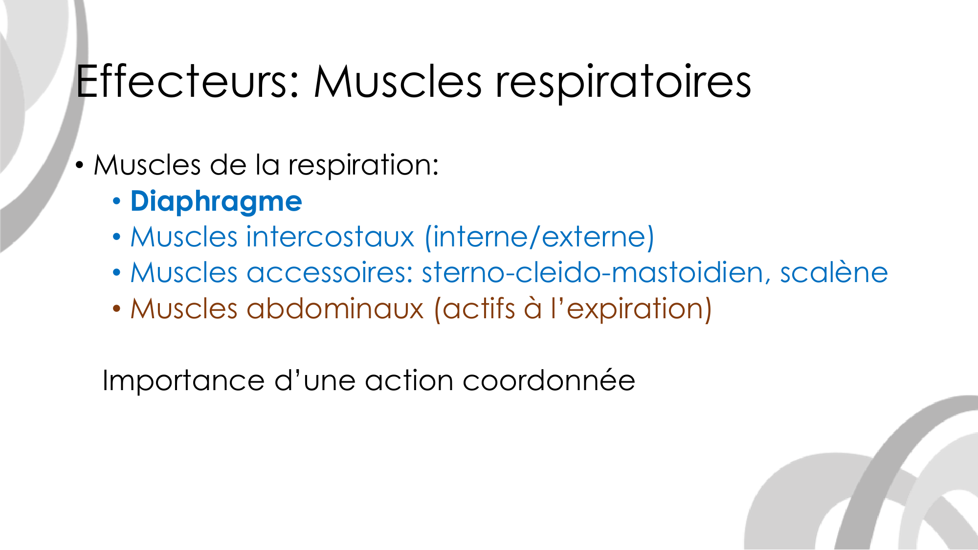 Contrôle ventilatoire page 15