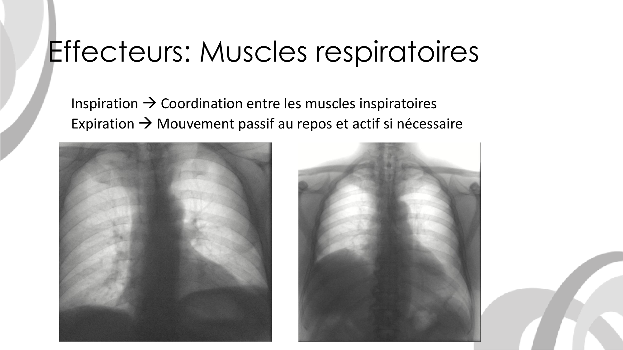Contrôle ventilatoire page 18
