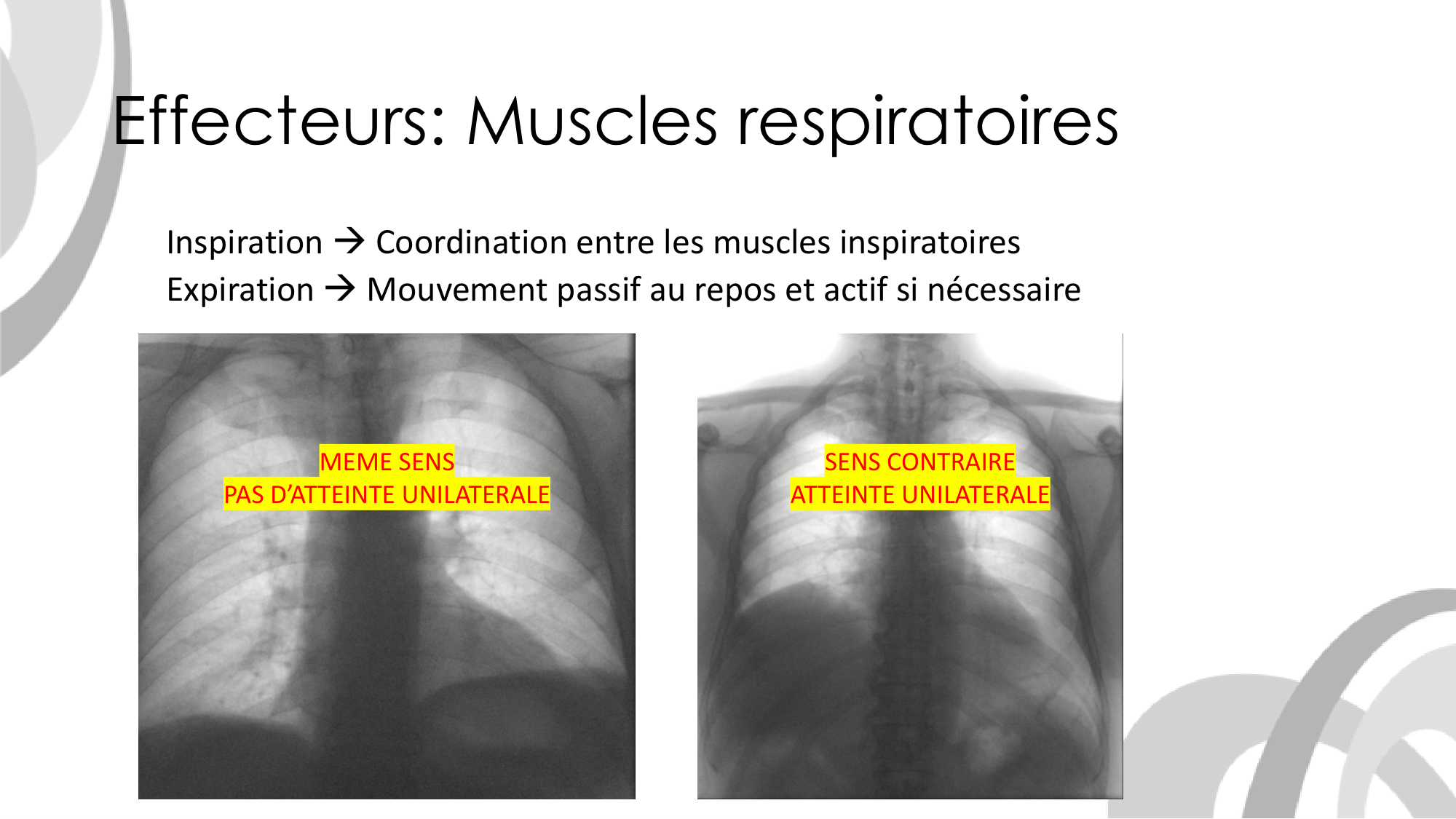 Contrôle ventilatoire page 19