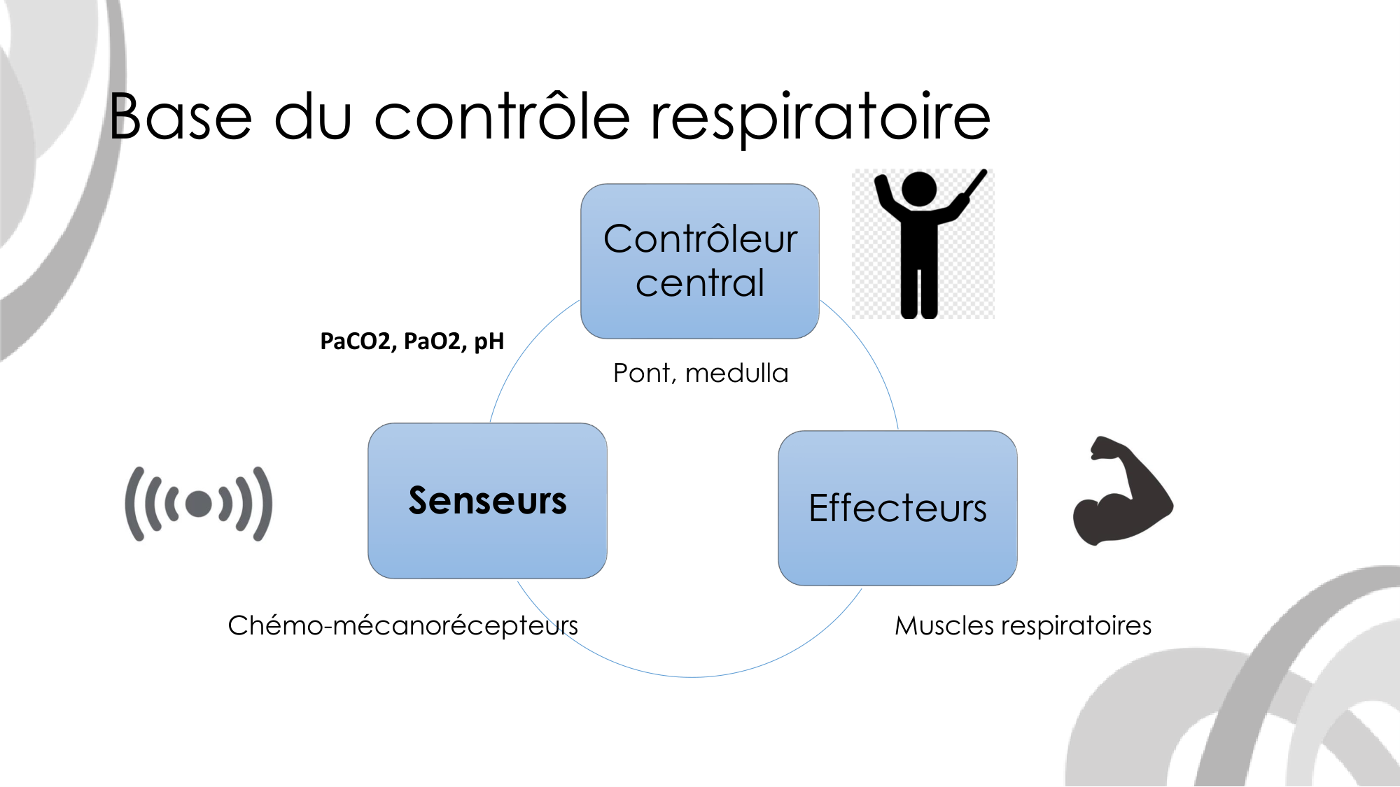 Contrôle ventilatoire page 20