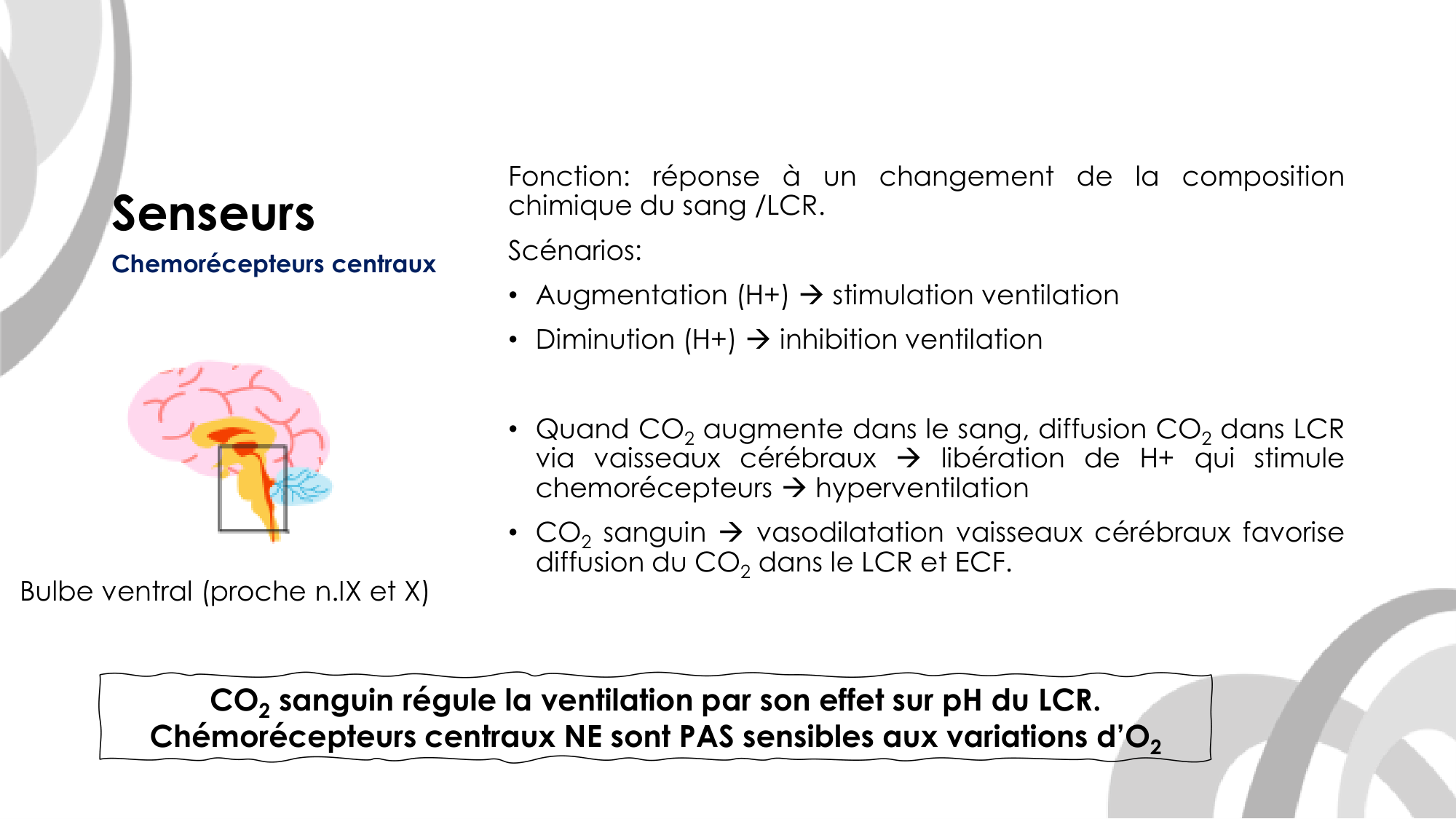 Contrôle ventilatoire page 23