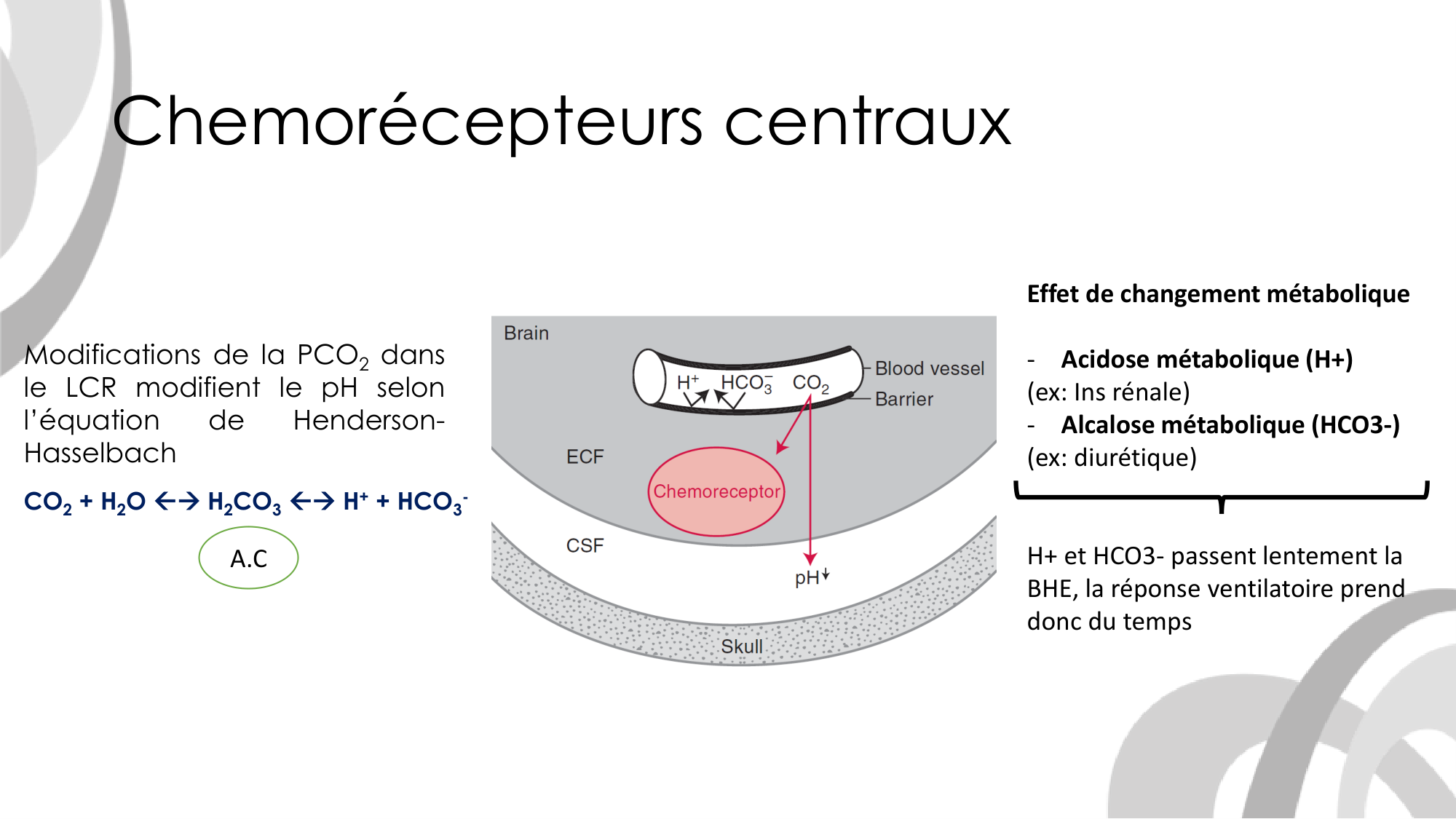 Contrôle ventilatoire page 25