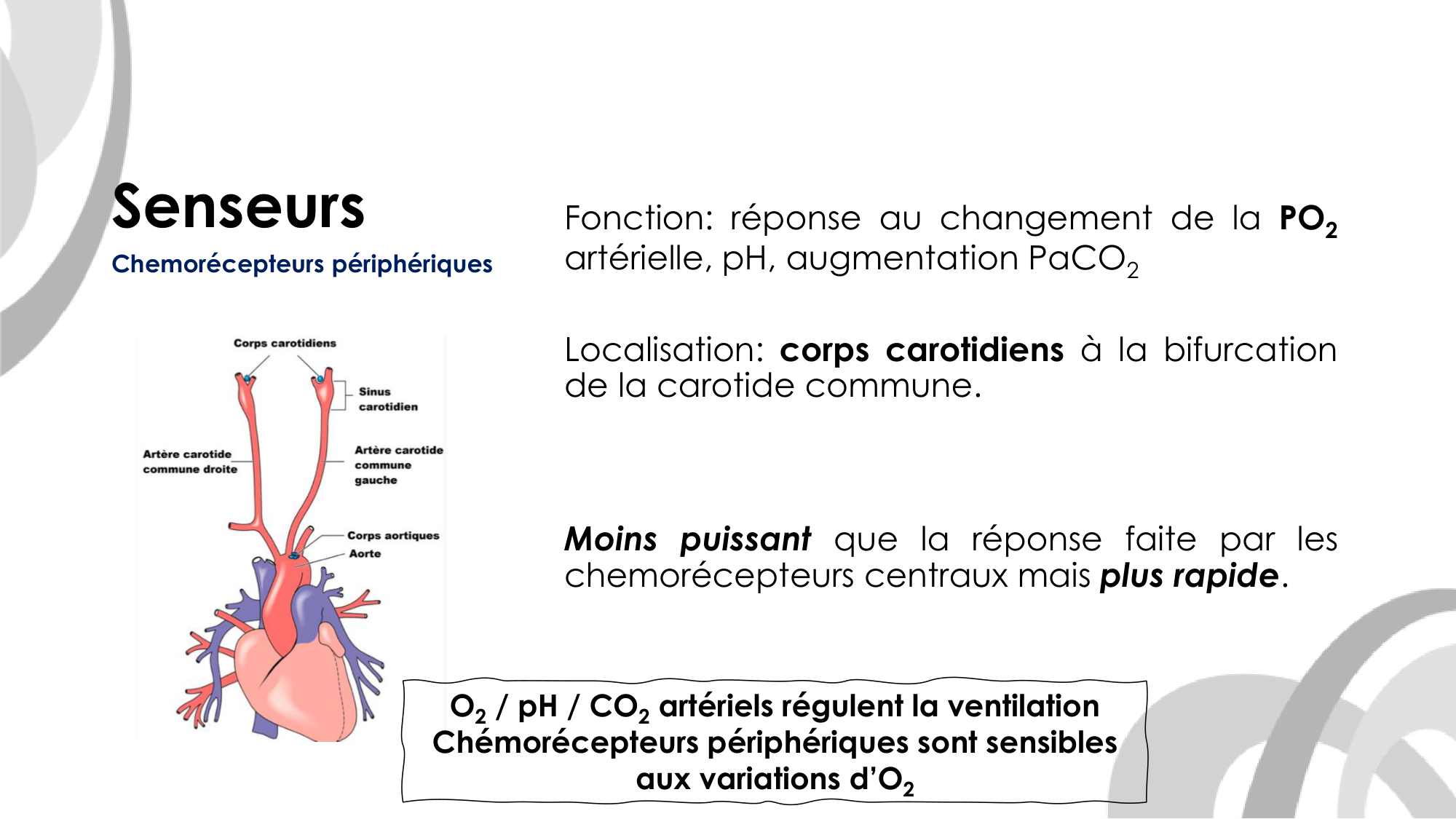 Contrôle ventilatoire page 26