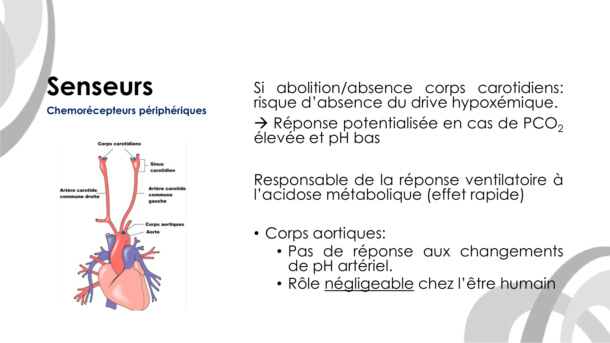Contrôle ventilatoire page 27