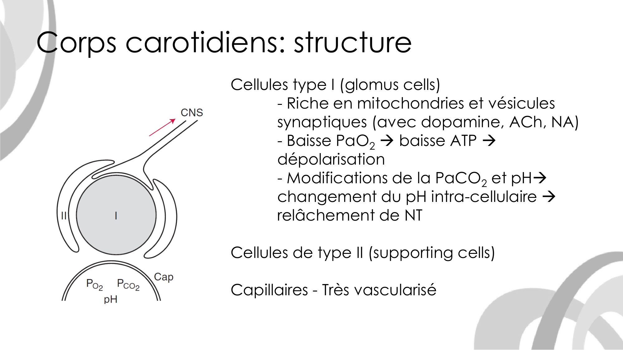 Contrôle ventilatoire page 28