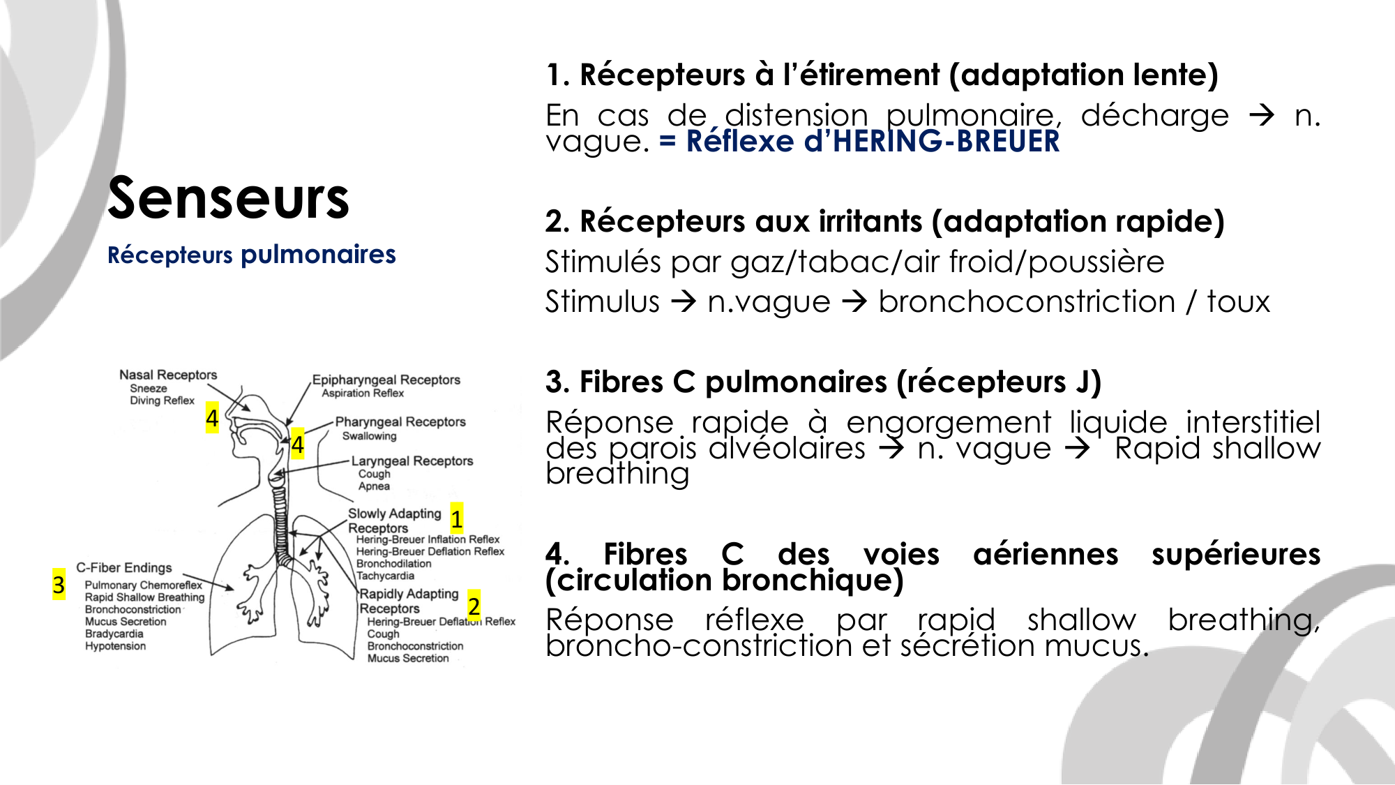 Contrôle ventilatoire page 30