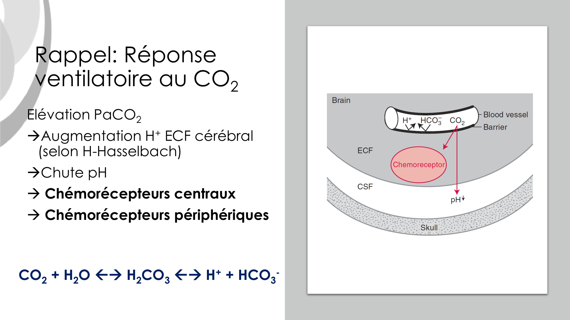 Contrôle ventilatoire page 38