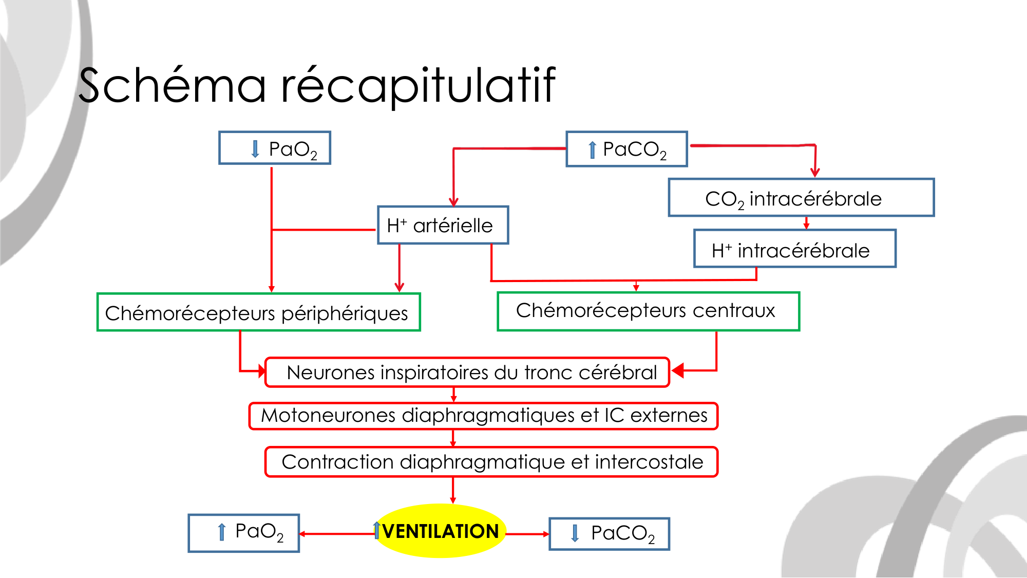 Contrôle ventilatoire page 45