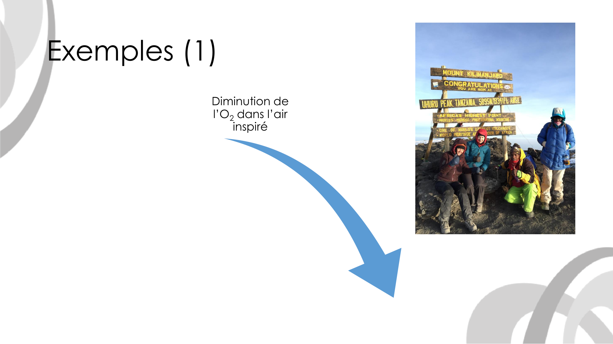 Contrôle ventilatoire page 46