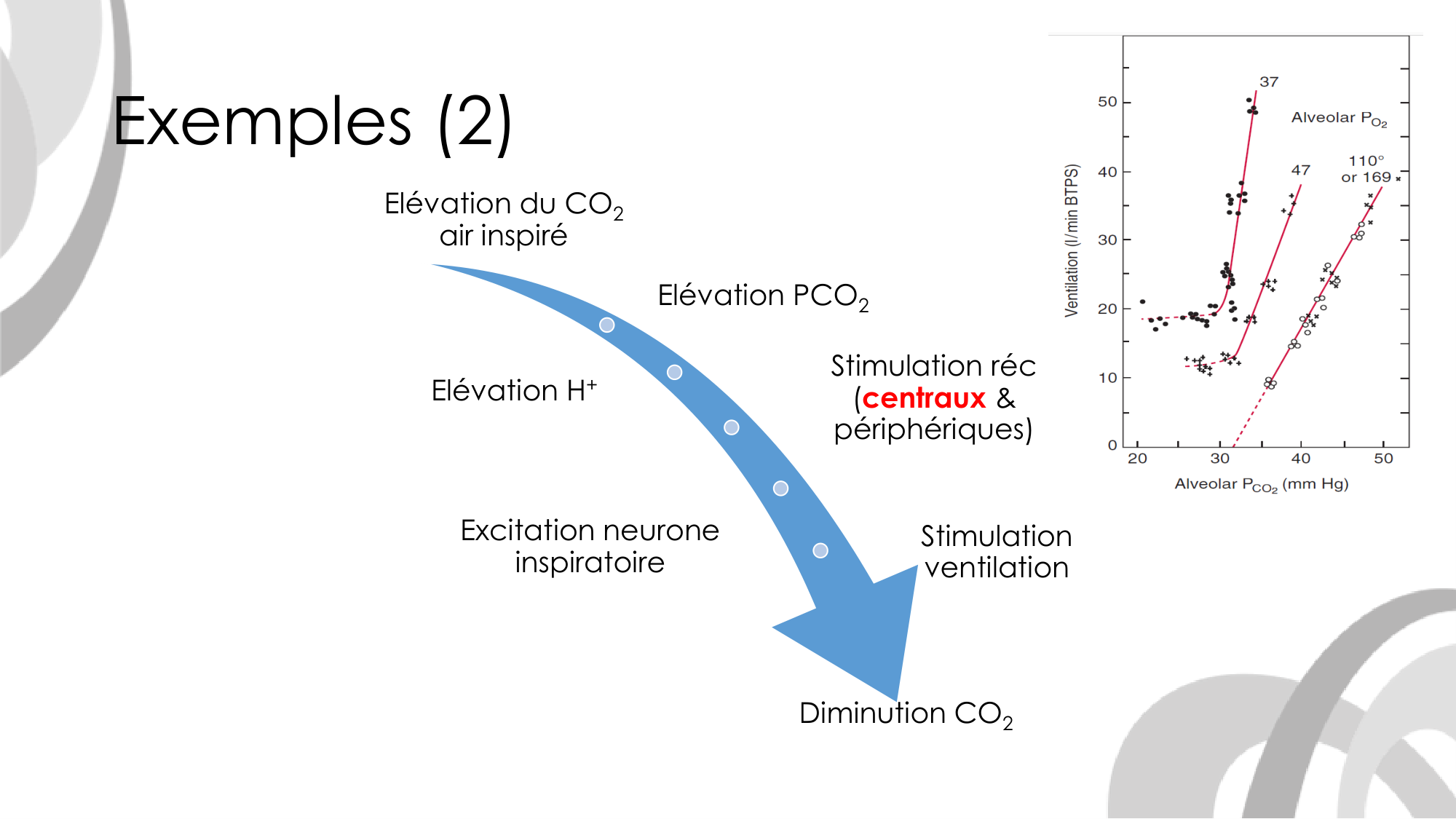 Contrôle ventilatoire page 50