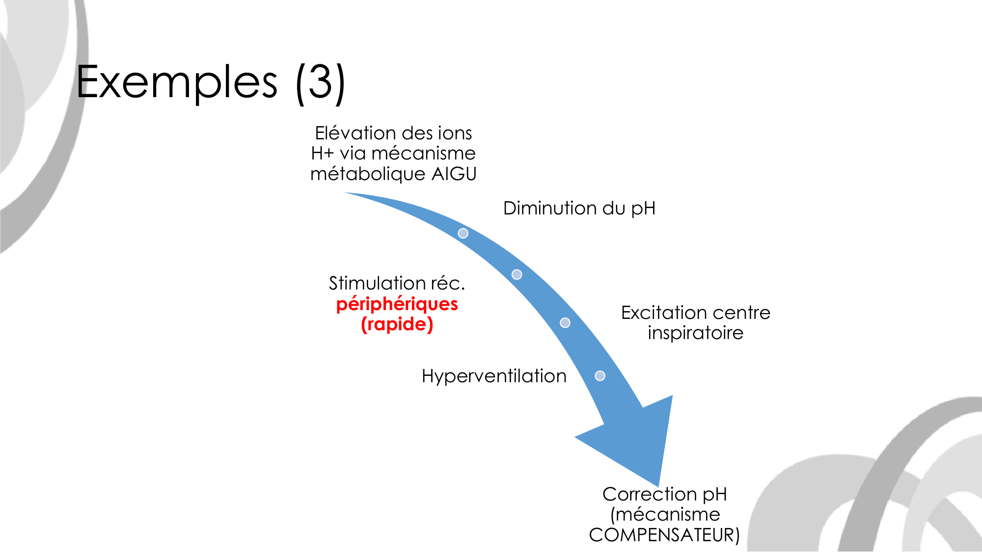 Contrôle ventilatoire page 52