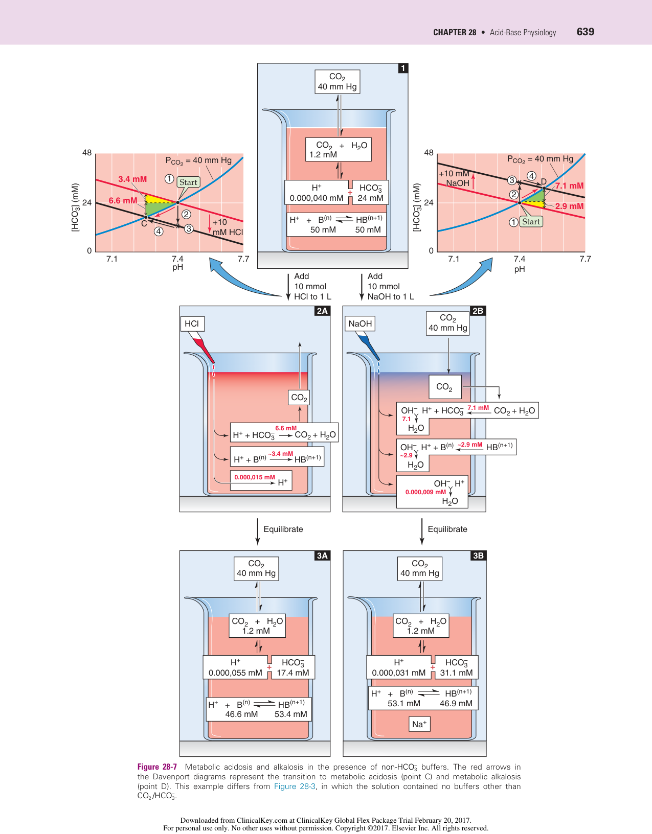 Physiologie acido-basique page 20